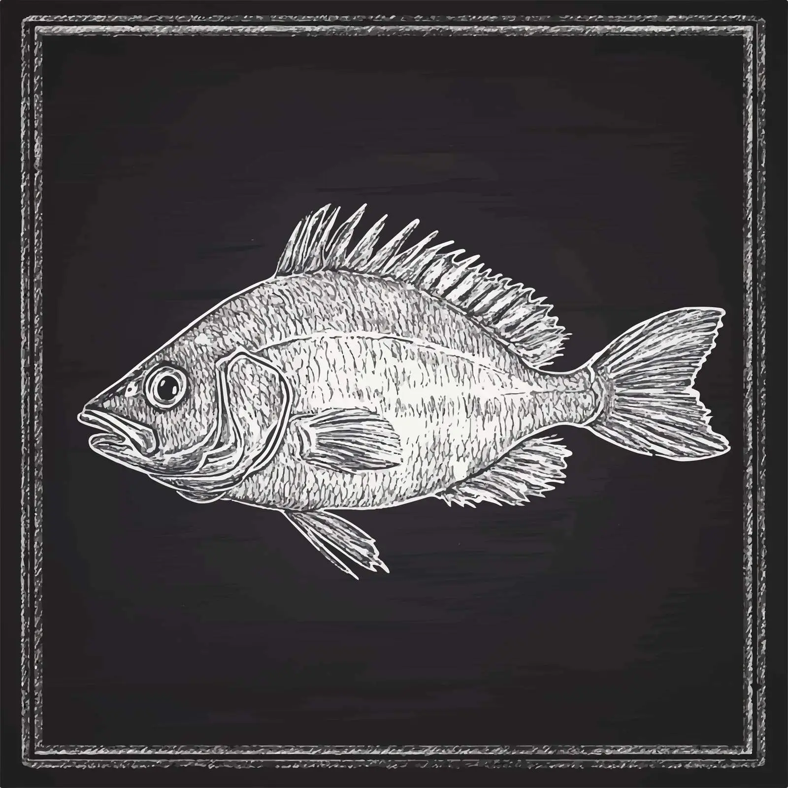 Hand-Drawn Grilled Fish Sketch on Chalkboard — free download from Dotvec