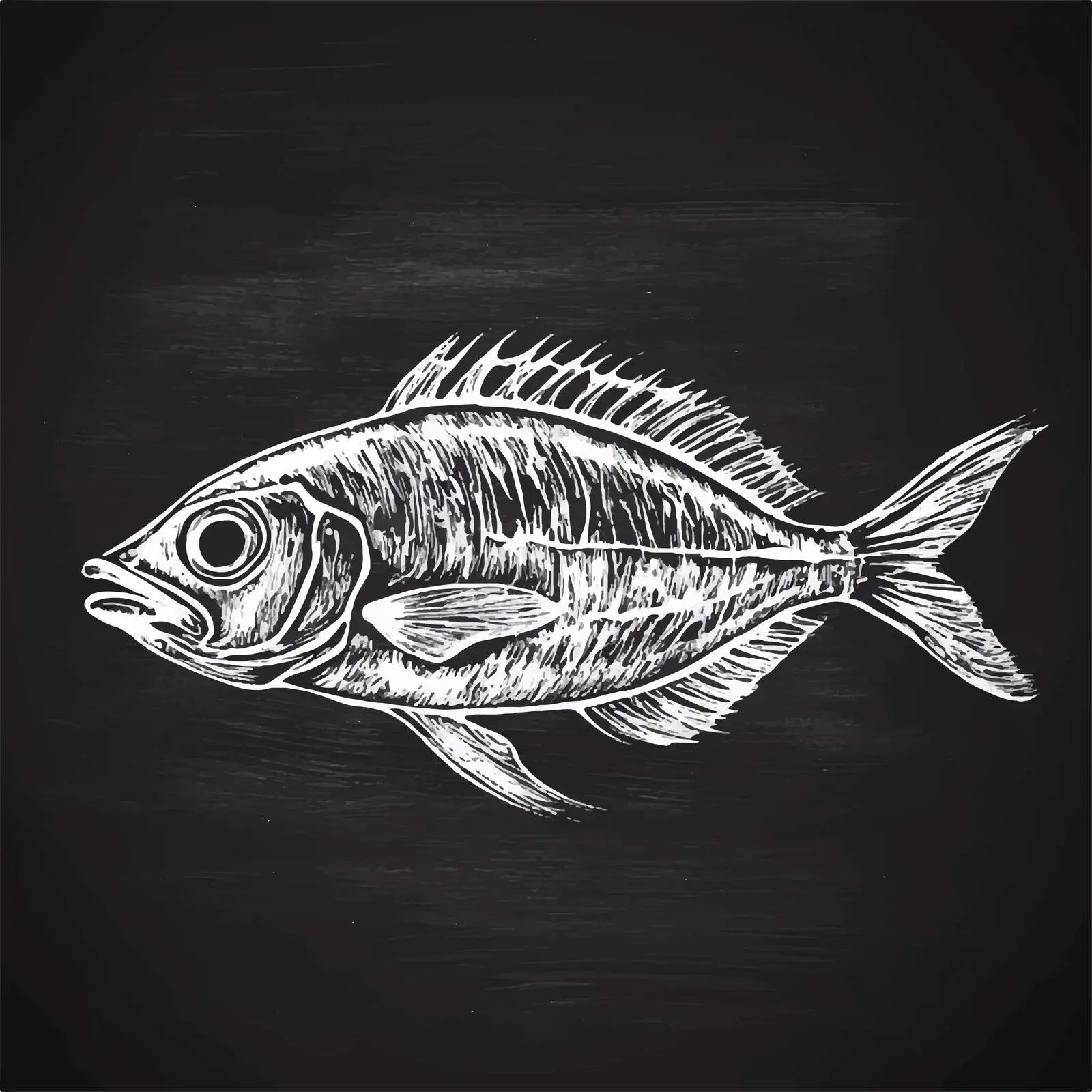 Hand Drawn Grilled Fish Steak Sketch — free download from Dotvec
