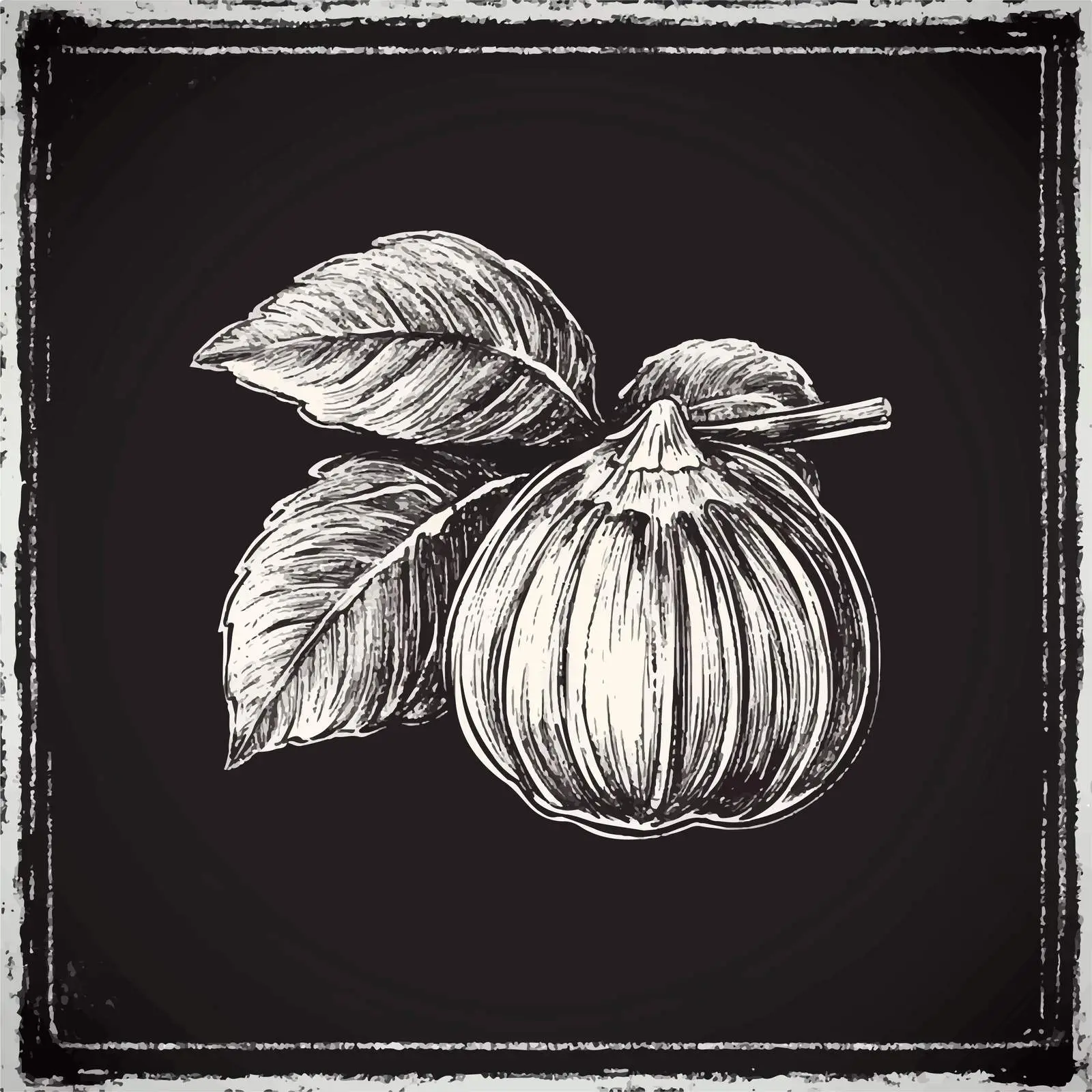 Hand-Drawn Hazelnut Sketch on Chalkboard — free download from Dotvec
