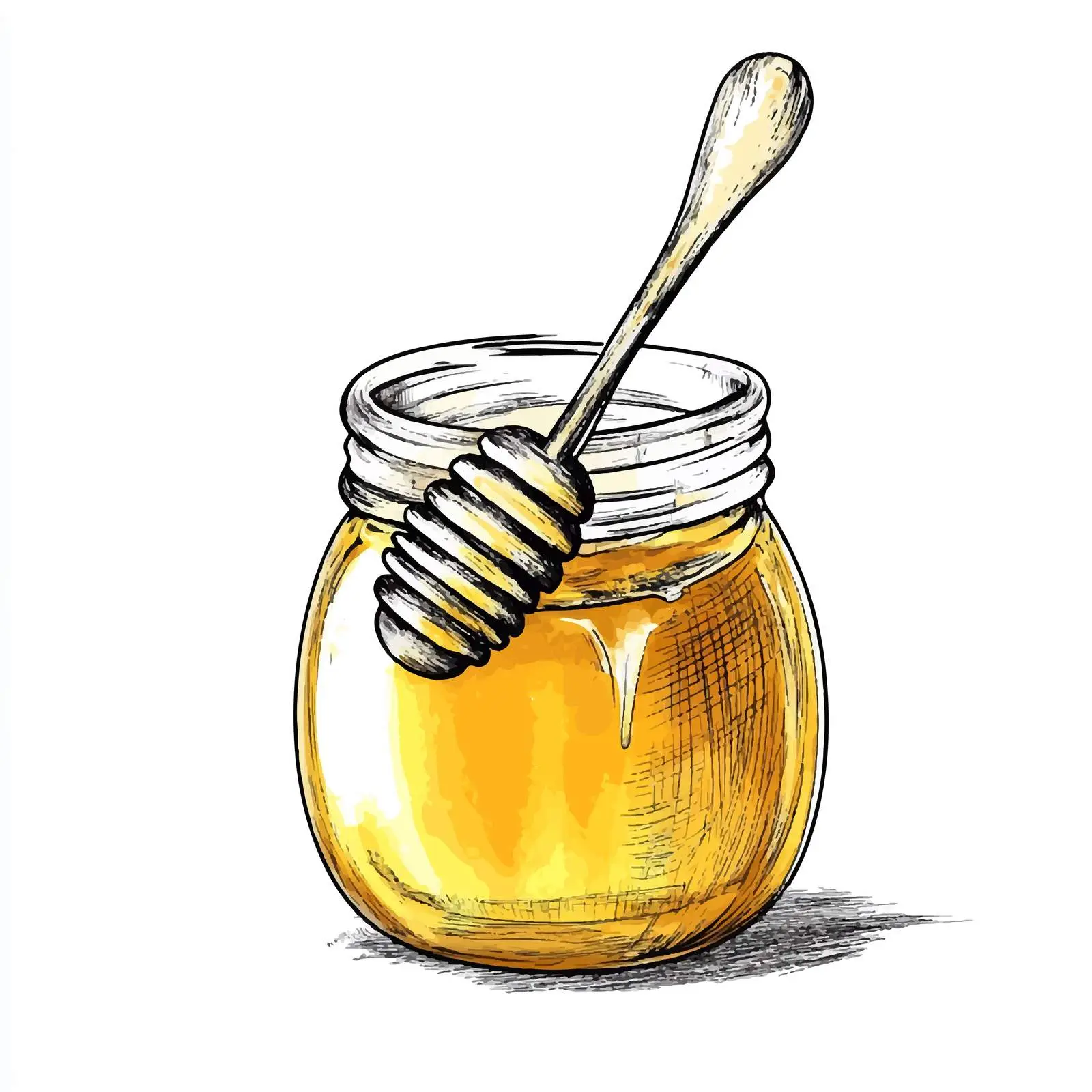 Hand Drawn Honey Sketch on White Background — free download from Dotvec