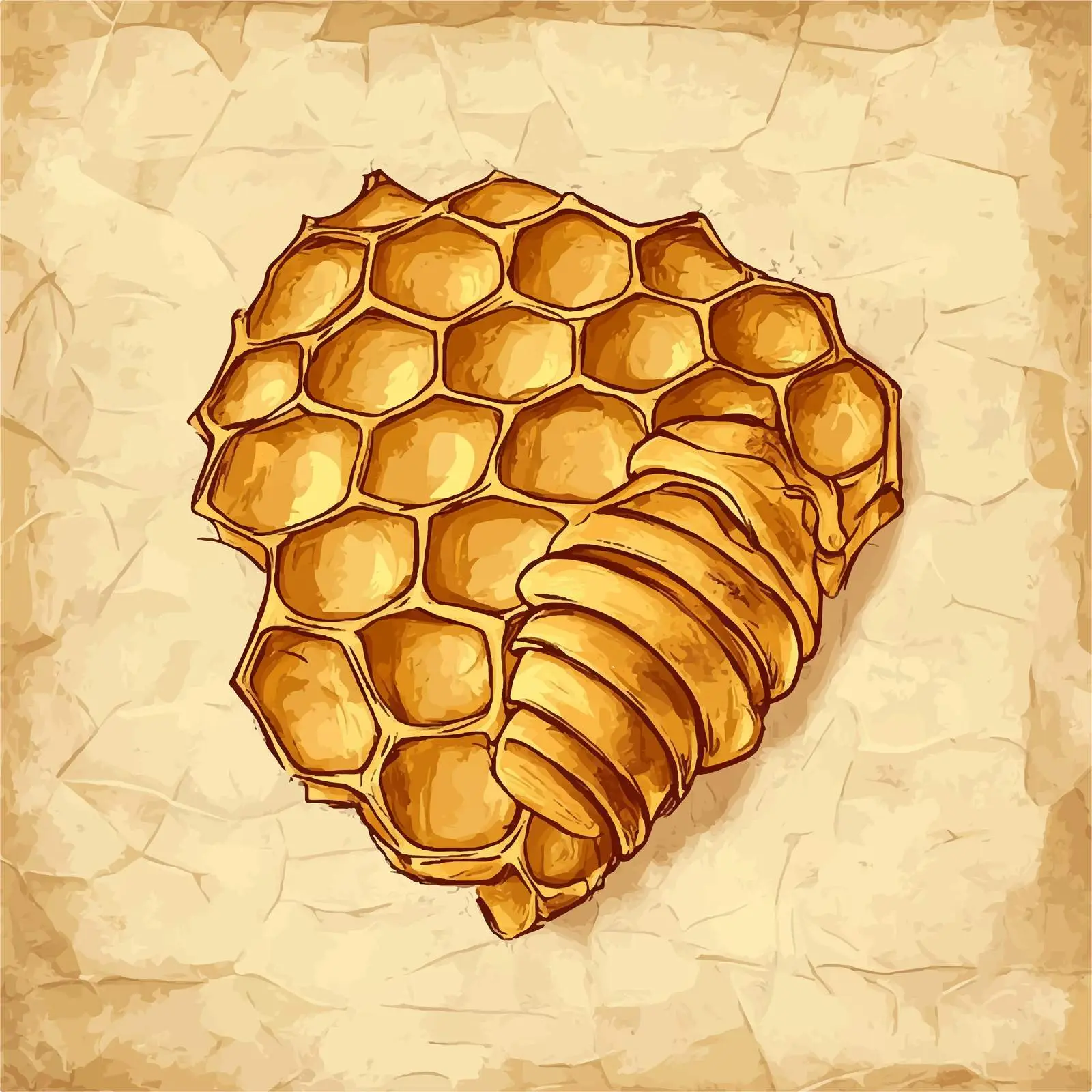 Hand-Drawn Honeycomb Slice Sketch for Design — free download from Dotvec