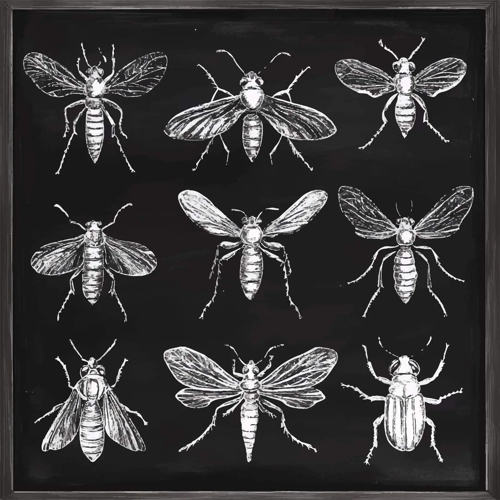 Hand-Drawn Insect Sketches Collection — free download from Dotvec