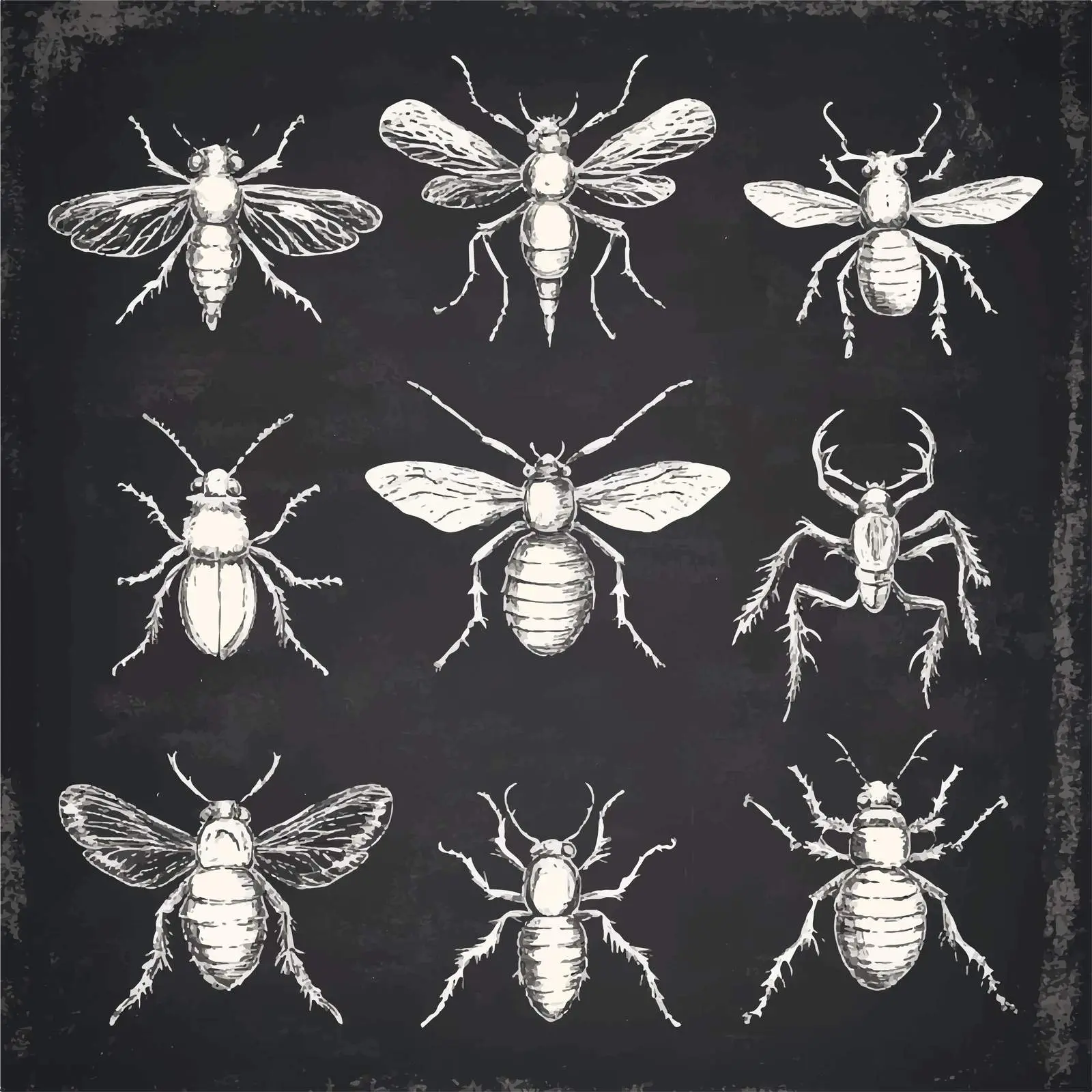 Hand-Drawn Insect Sketches Collection — free download from Dotvec