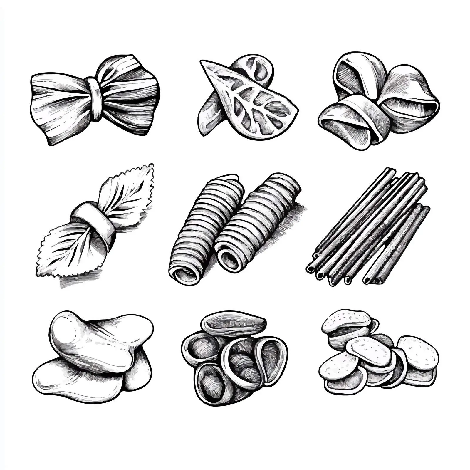 Hand-Drawn Italian Pasta Set on White Background — free download from Dotvec