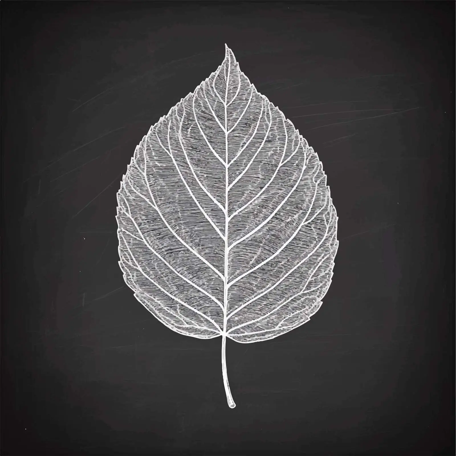 Hand Drawn Leaf Sketch Vector Design — free download from Dotvec