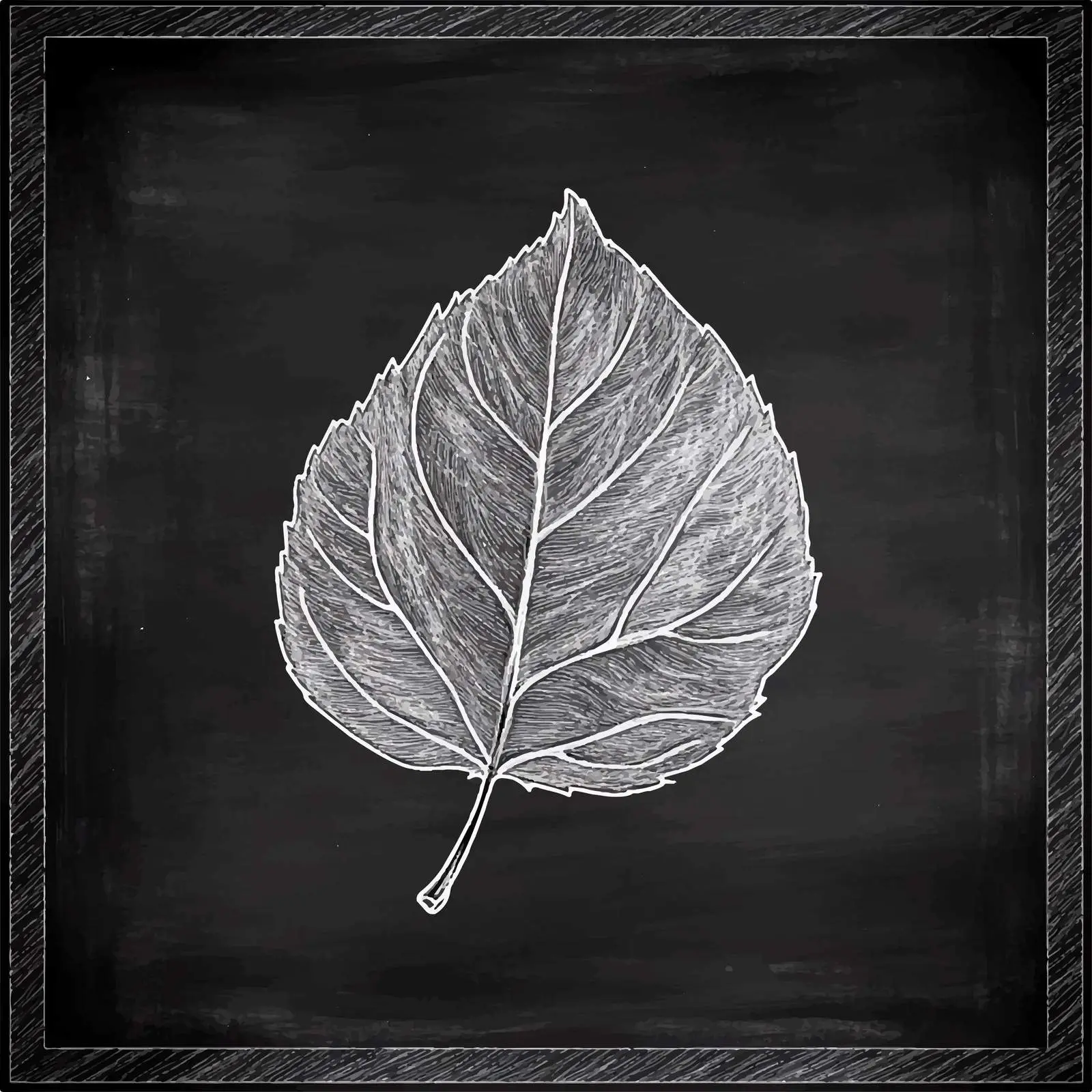 Hand Drawn Leaf Sketch on Chalkboard Background — free download from Dotvec