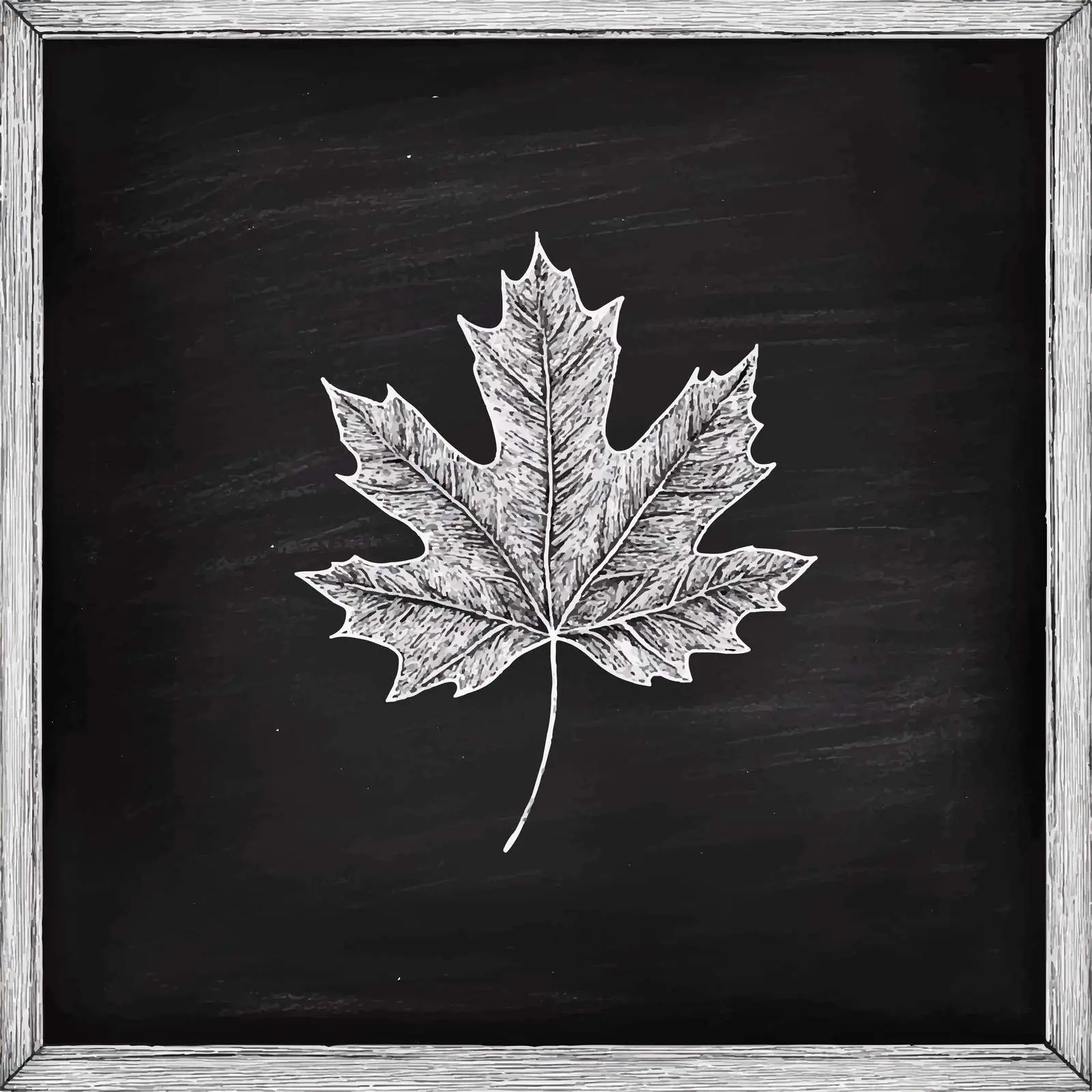 Hand Drawn Leaf Sketch on Chalkboard Background — free download from Dotvec