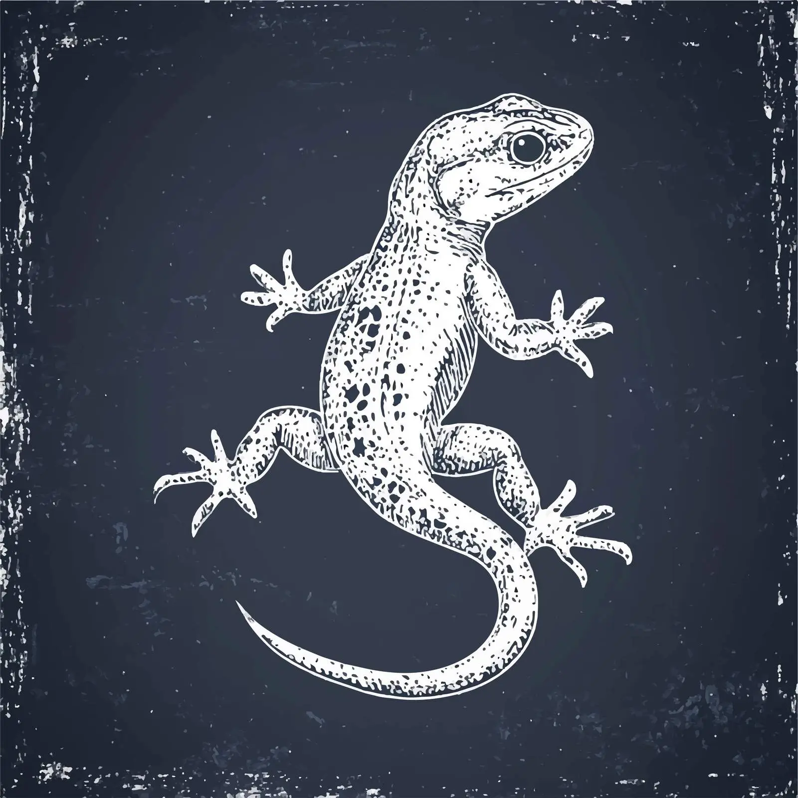 Hand-Drawn Lizard Sketch on Chalkboard — free download from Dotvec