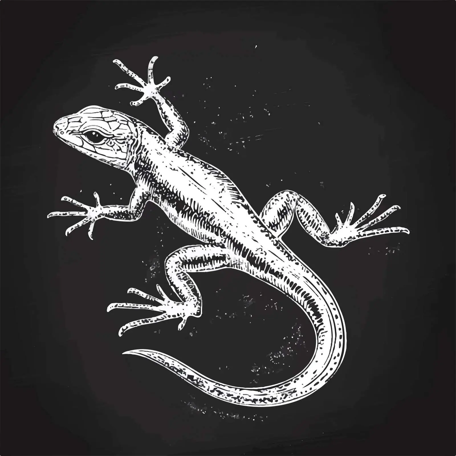 Hand-Drawn Lizard Sketch on Chalkboard Background — free download from Dotvec