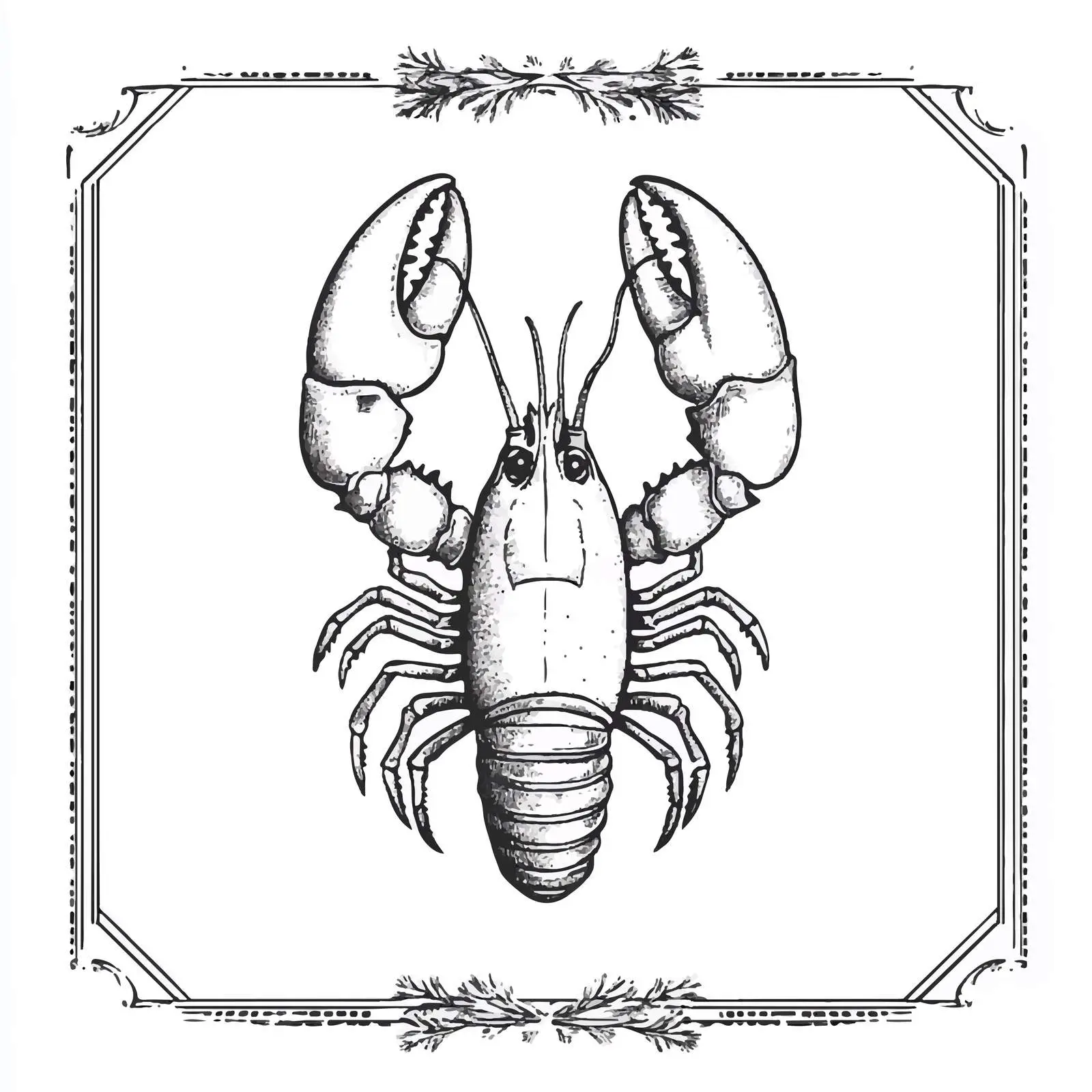 Hand Drawn Lobster Illustration on White Background — free download from Dotvec