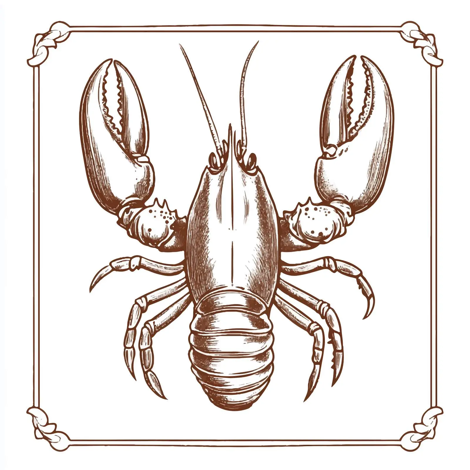 Hand-Drawn Lobster on White Background — free download from Dotvec