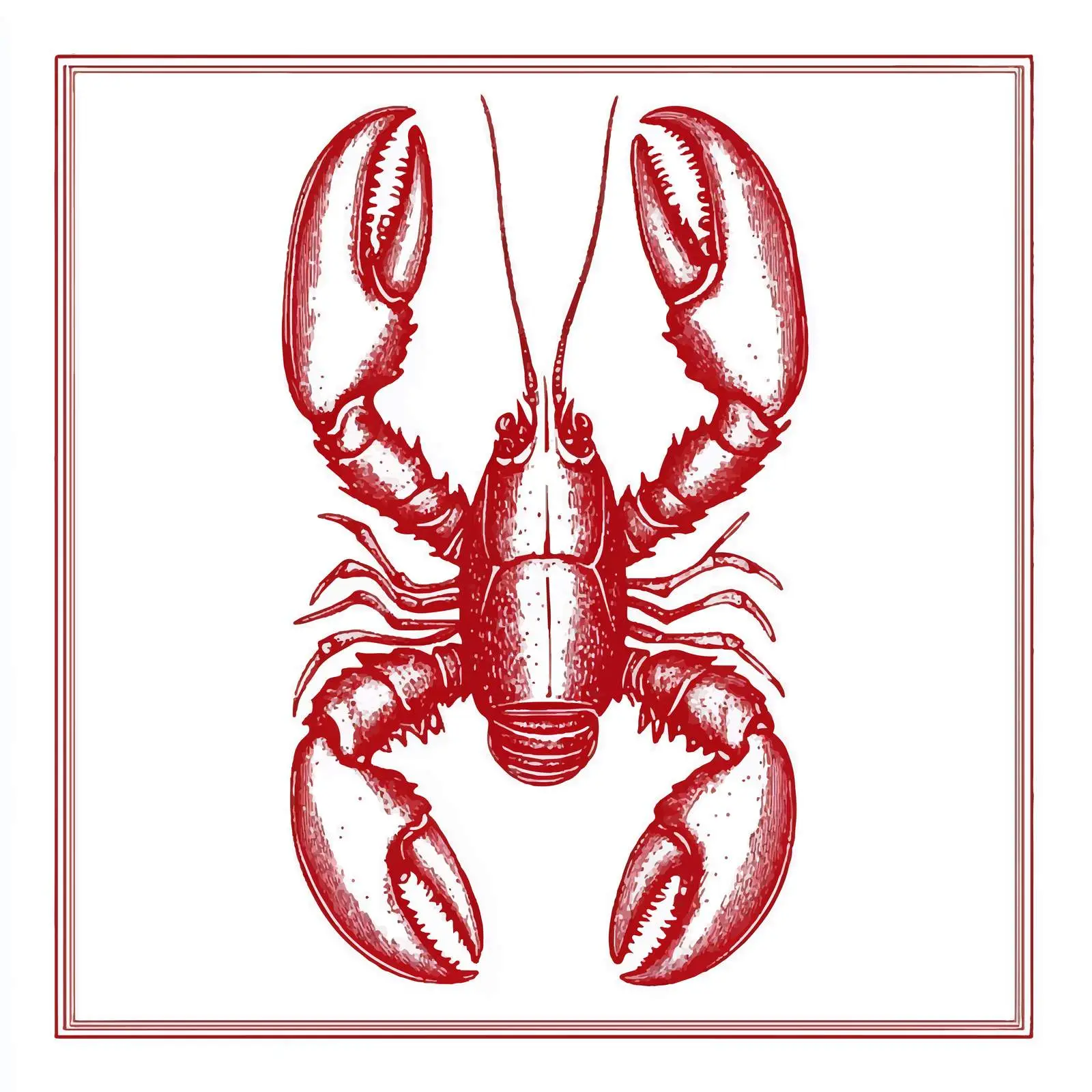 Hand-Drawn Lobster Illustration on White Background — free download from Dotvec