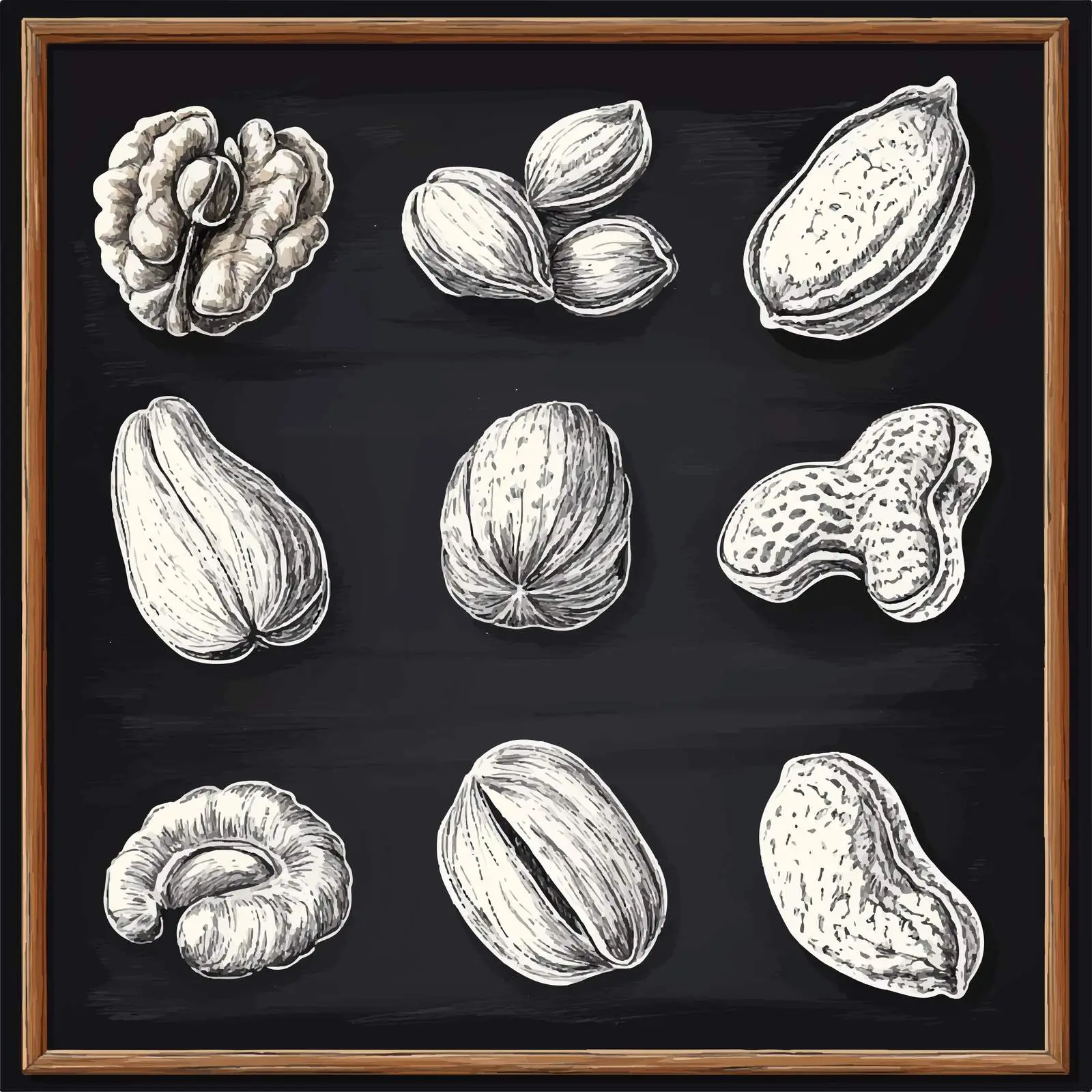 Hand Drawn Nut Sketches Collection — free download from Dotvec