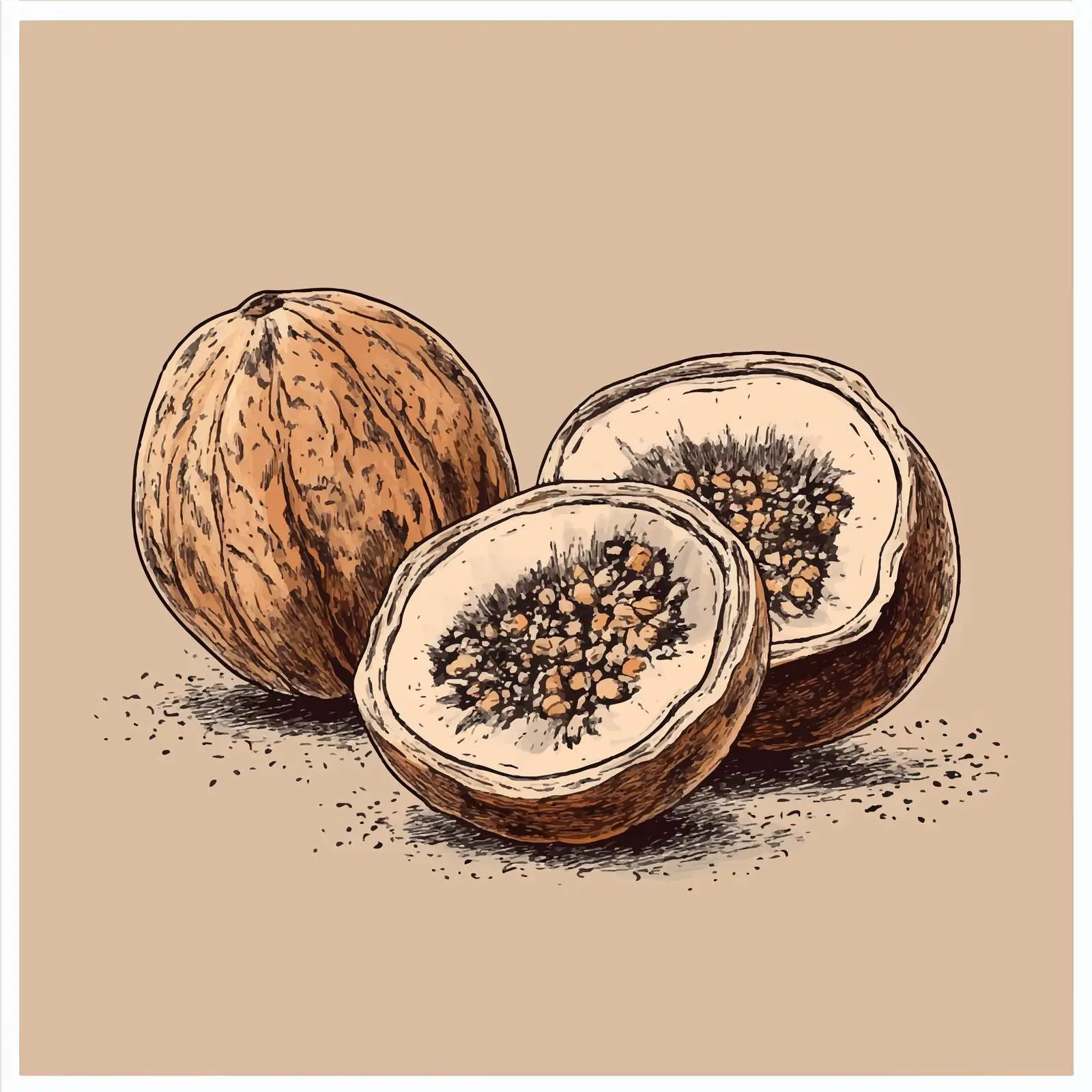 Hand-Drawn Nutmeg on Beige Background — free download from Dotvec
