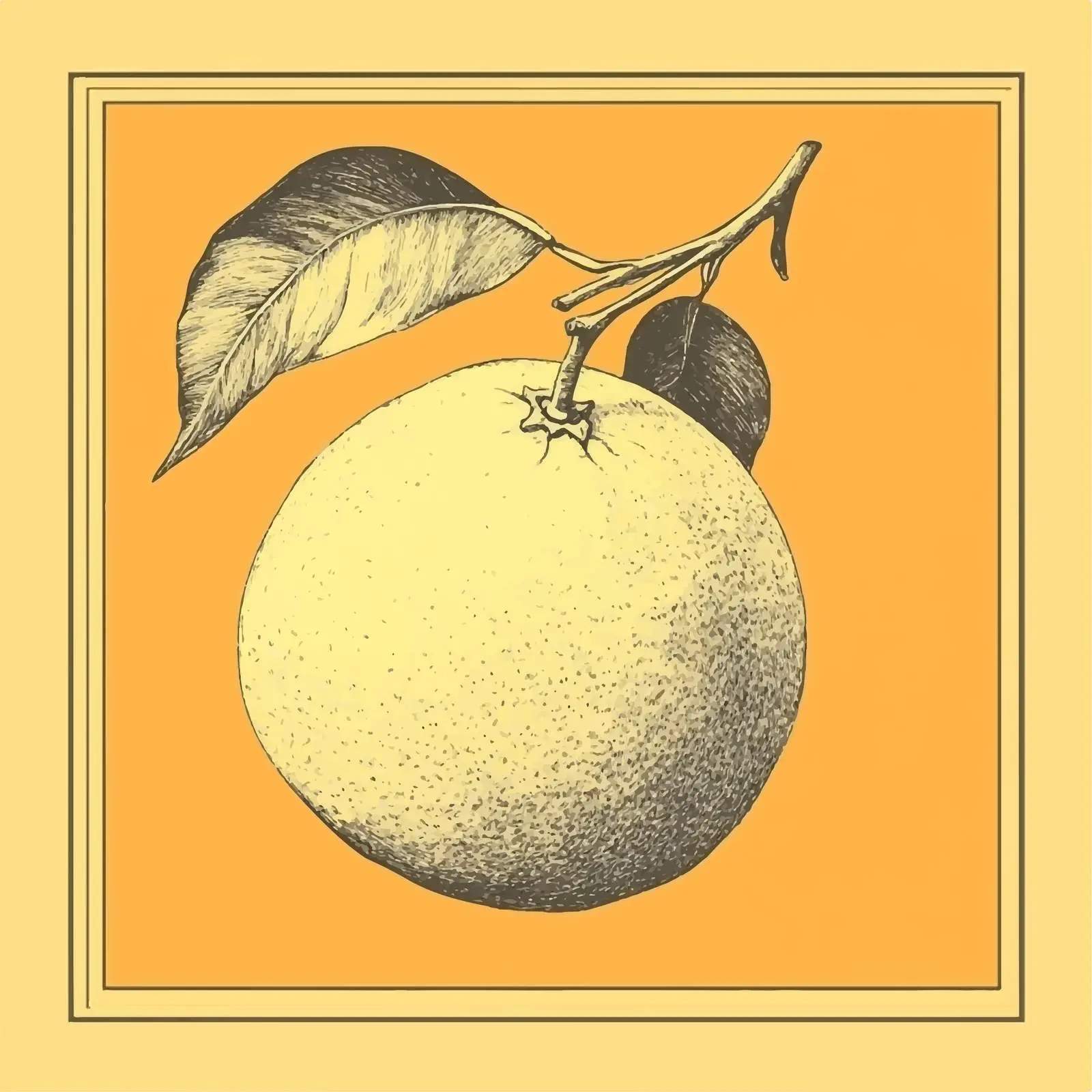 Hand Drawn Orange on Yellow Background — free download from Dotvec