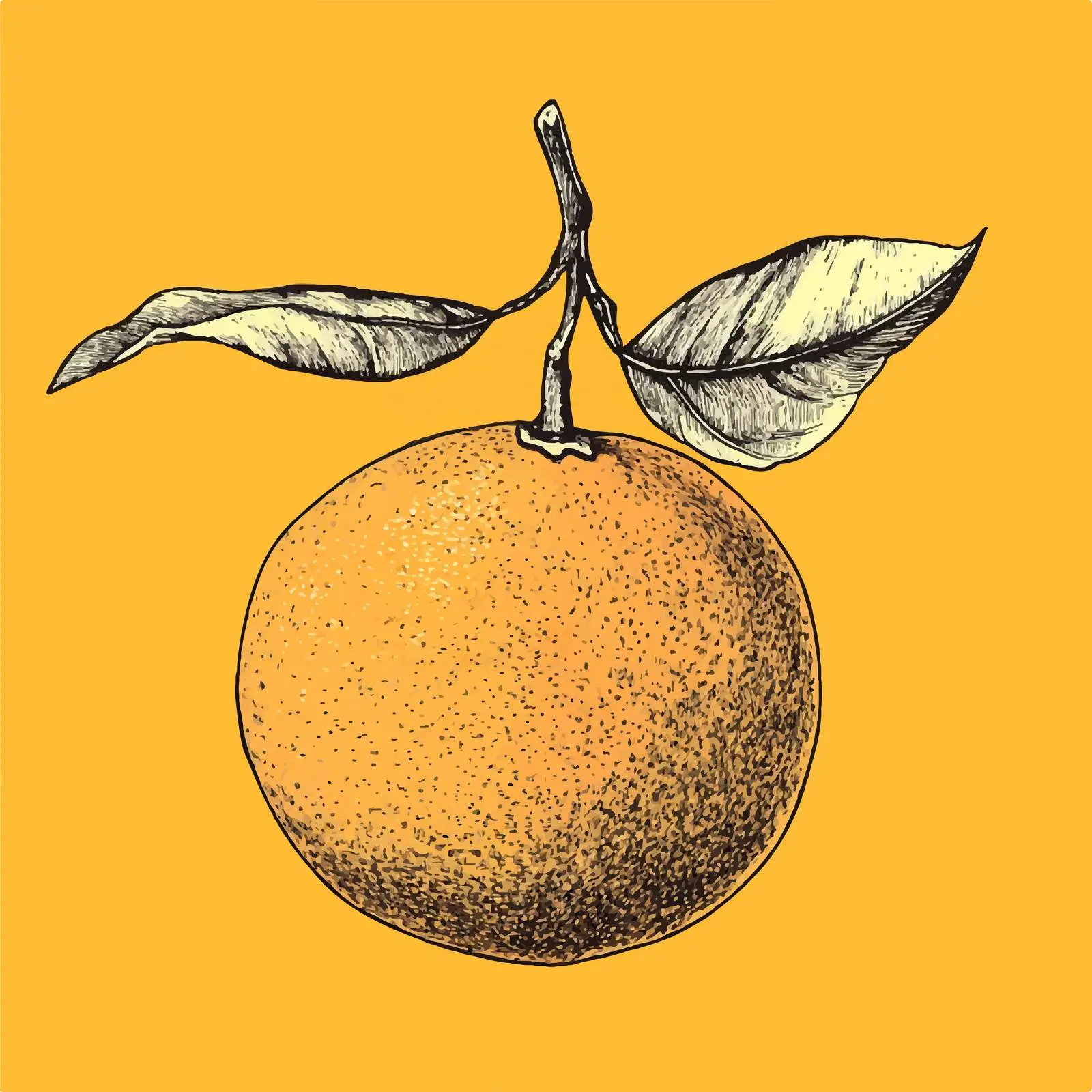 Hand-Drawn Orange on Bright Yellow Background — free download from Dotvec