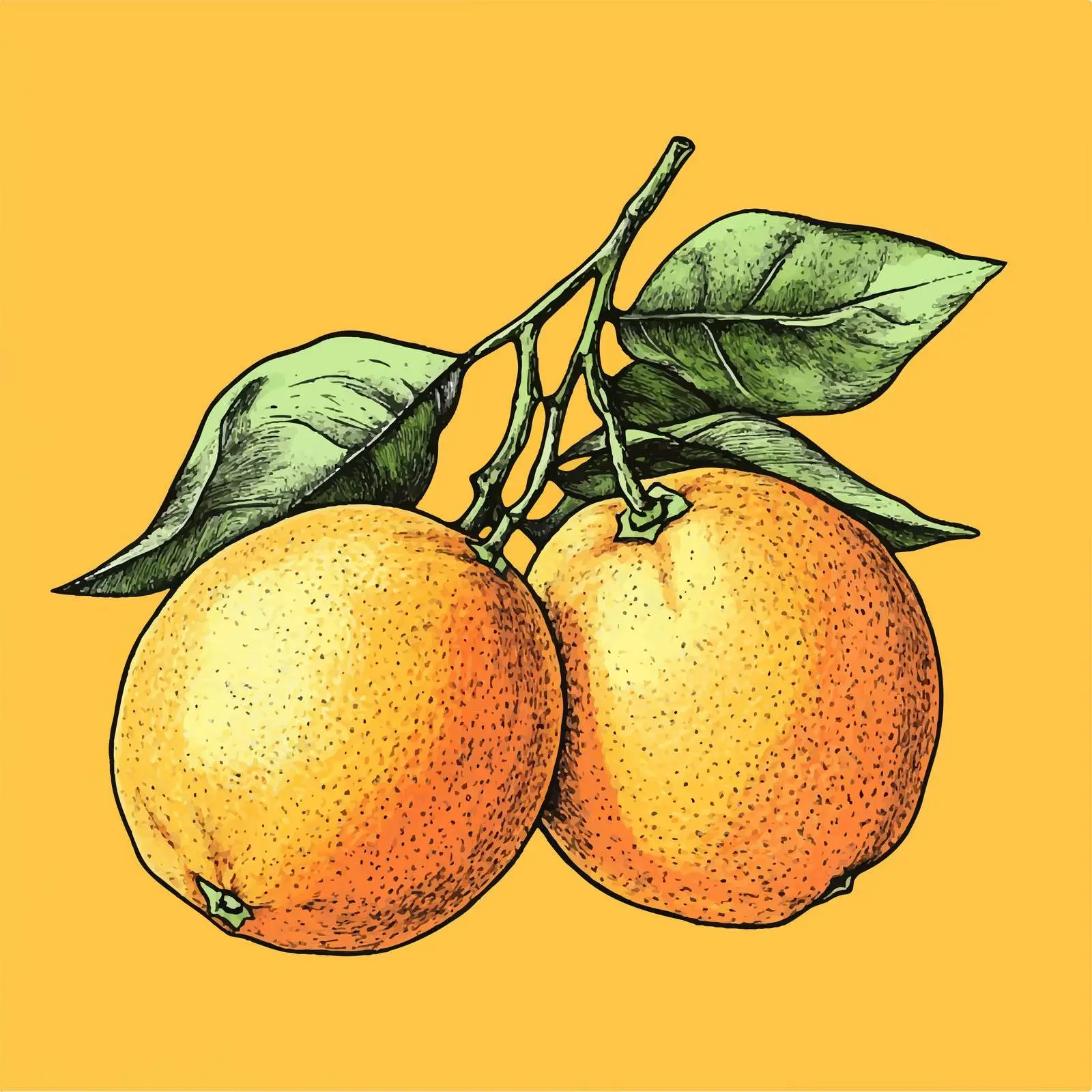 Hand-Drawn Orange on Yellow Background — free download from Dotvec