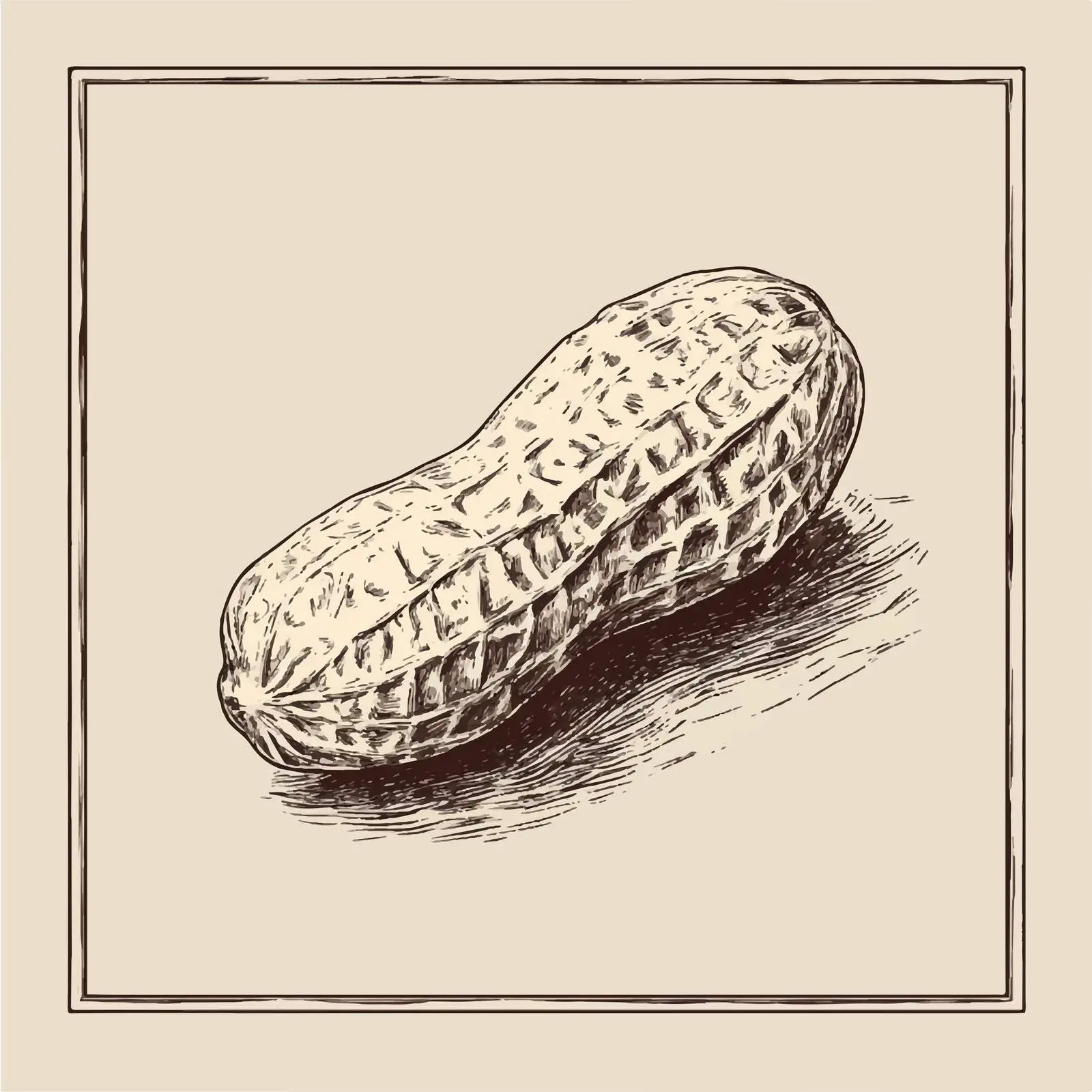 Hand-Drawn Peanut Sketch on Beige Background — free download from Dotvec
