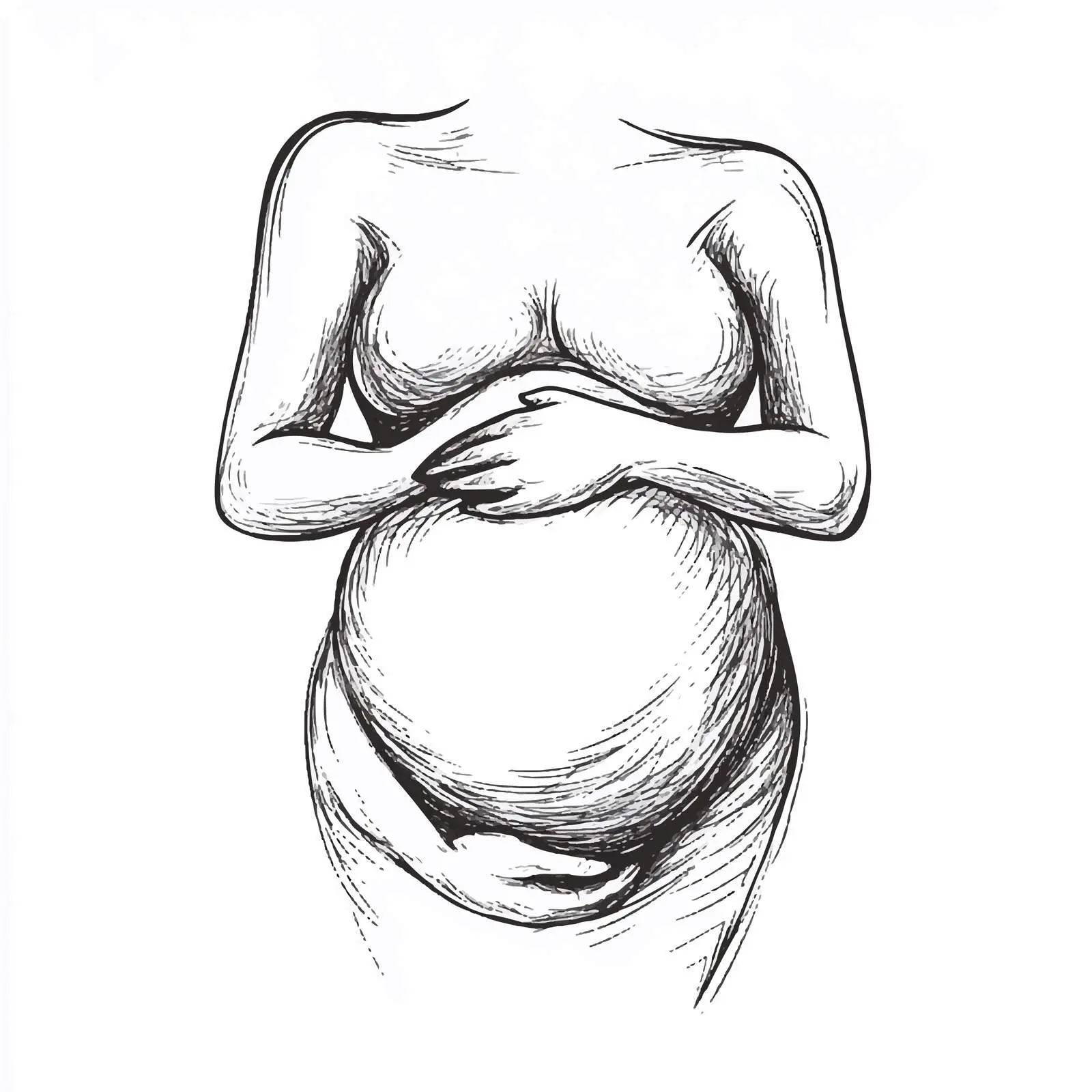 Hand Drawn Pregnant Woman Belly Sketch – free gestation image from Dotvec