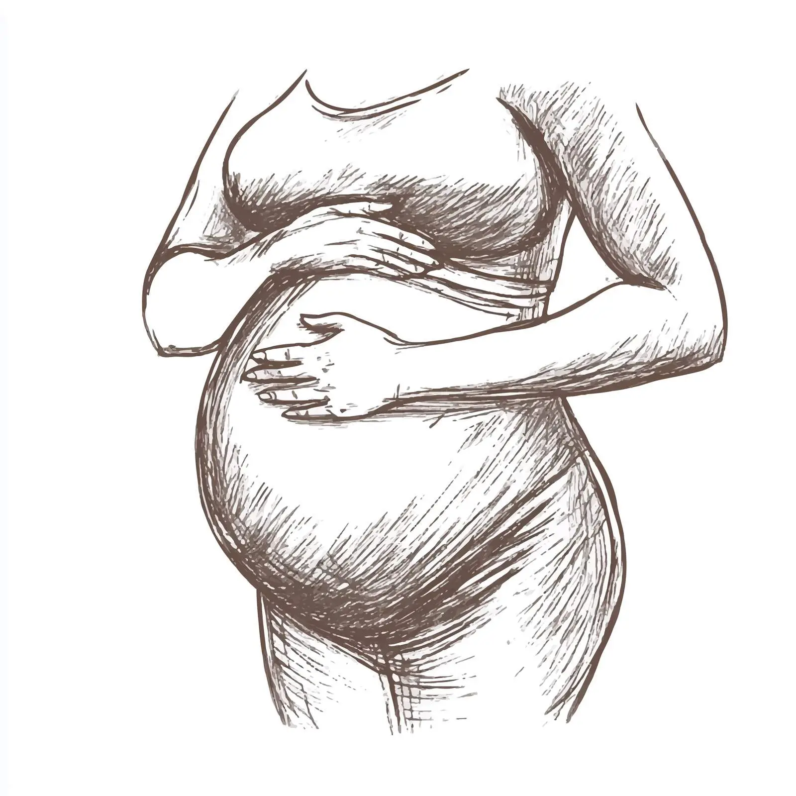 Hand-Drawn Pregnant Woman Belly Sketch — free download from Dotvec