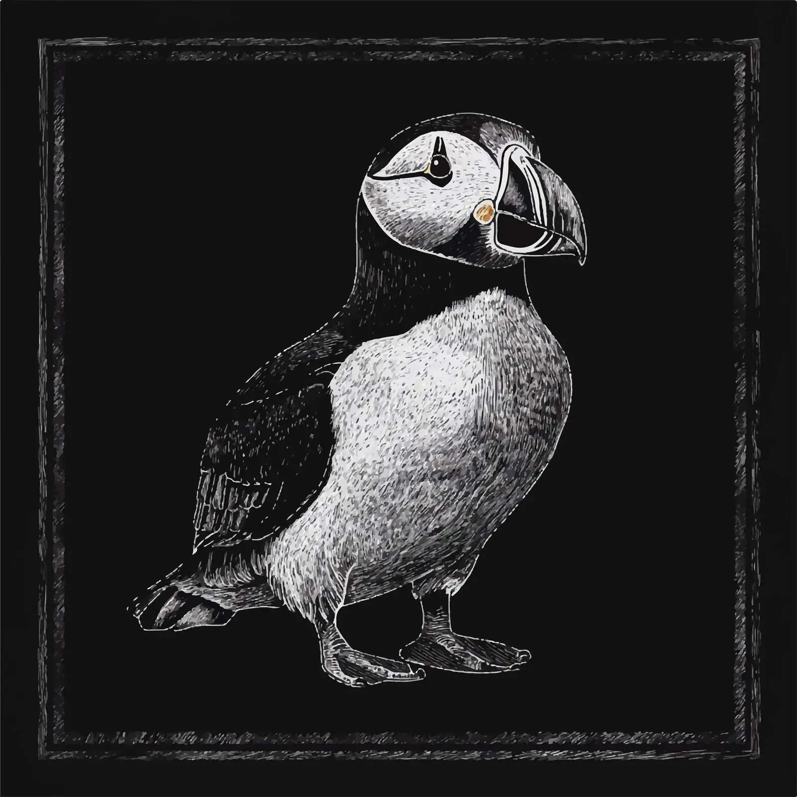 Hand Drawn Puffin Sketch Vector Art — free download from Dotvec