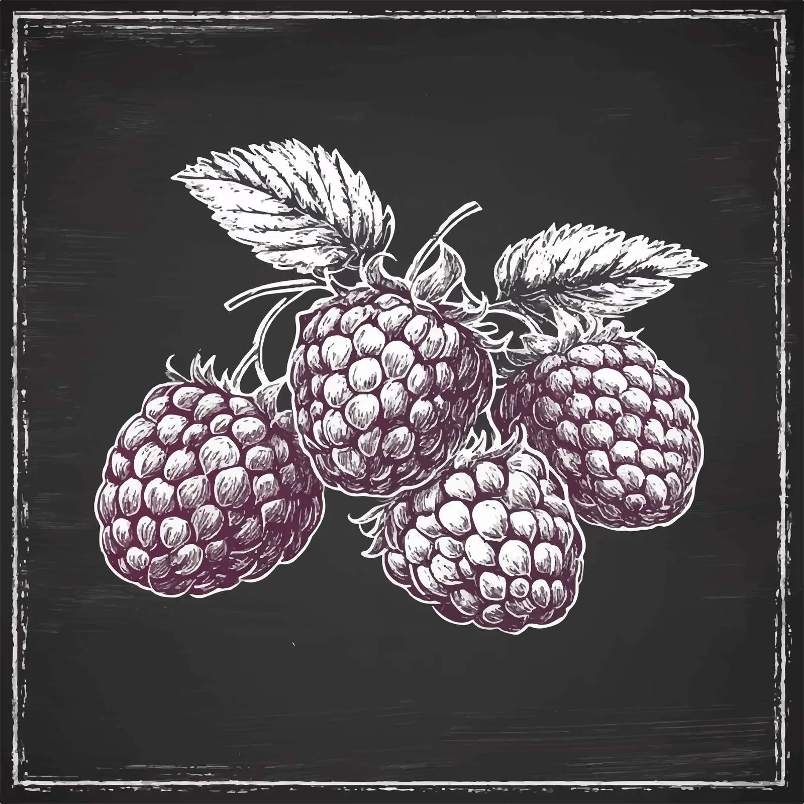 Hand-Drawn Raspberry Sketch on Chalkboard — free download from Dotvec