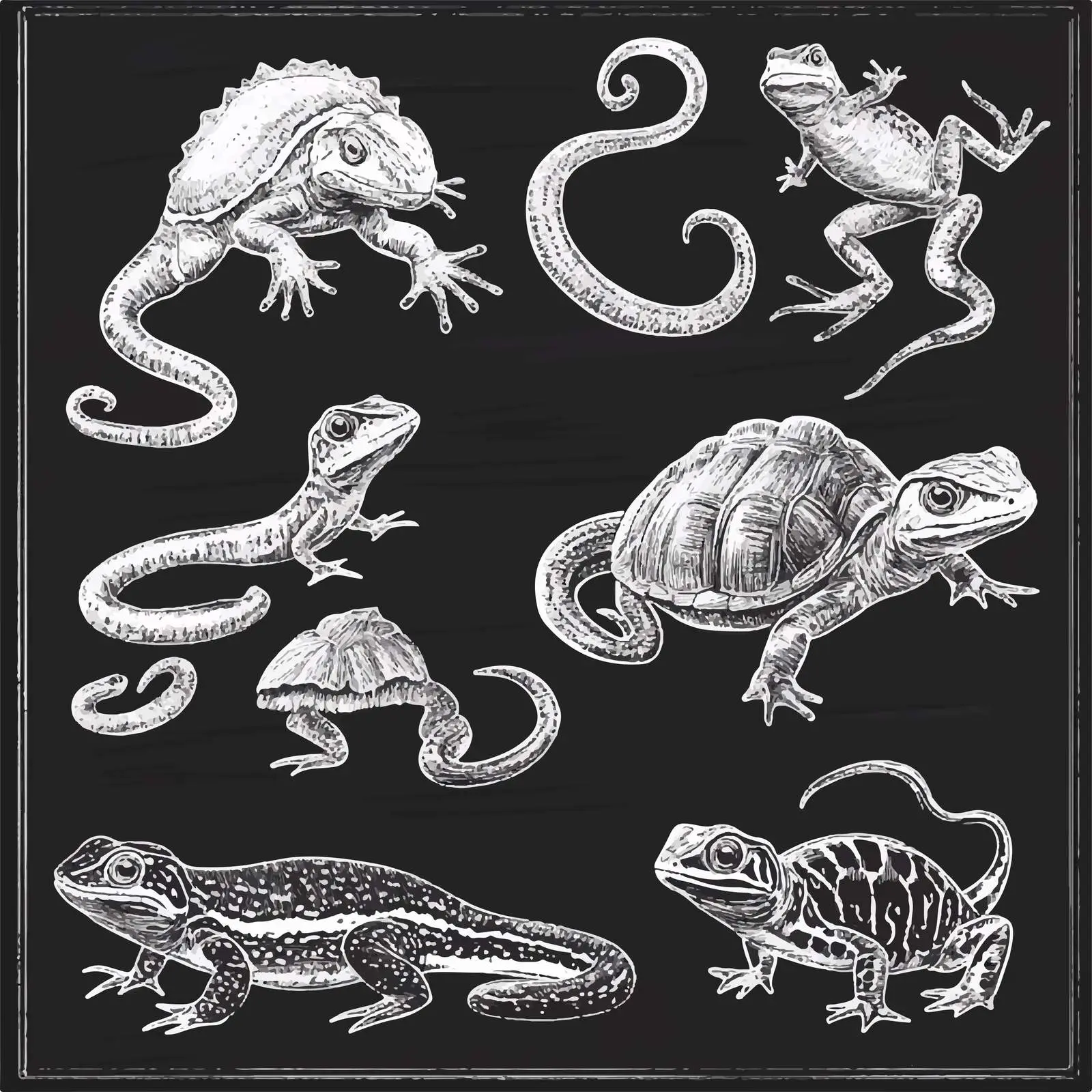 Hand-Drawn Reptiles and Amphibians Sketches Collection — free download from Dotvec