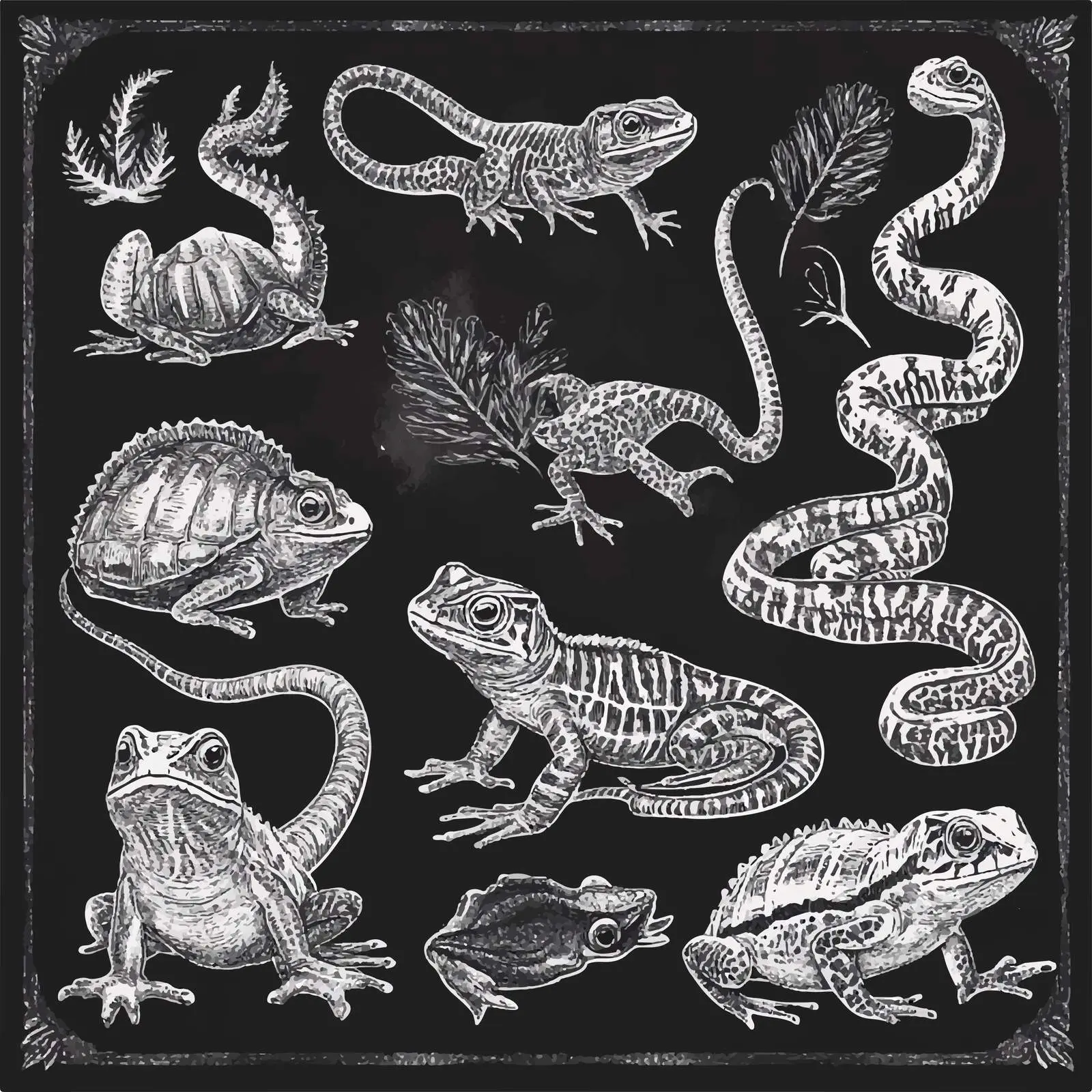 Hand Drawn Reptiles and Amphibians Sketch Set — free download from Dotvec