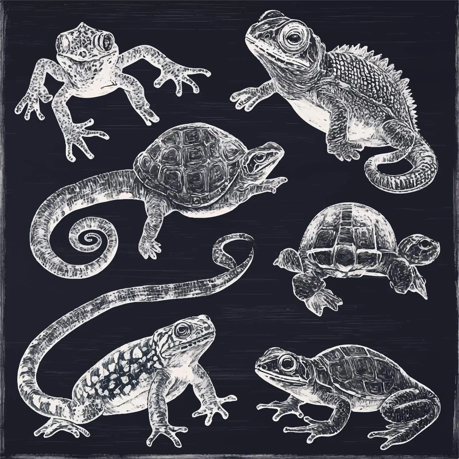 Hand-Drawn Reptiles and Amphibians Sketch Collection — free download from Dotvec