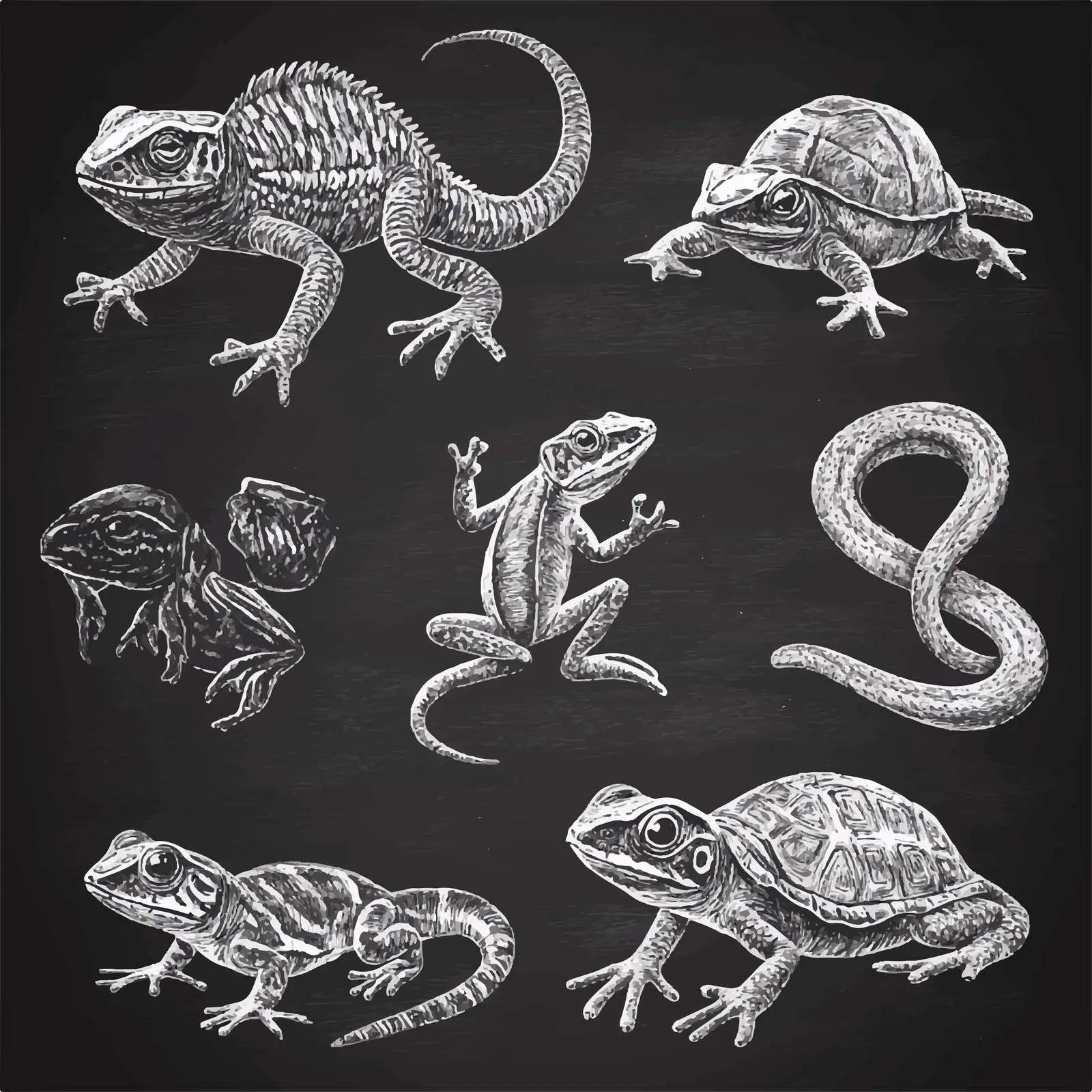 Hand-Drawn Reptiles and Amphibians Sketches Collection — free download from Dotvec