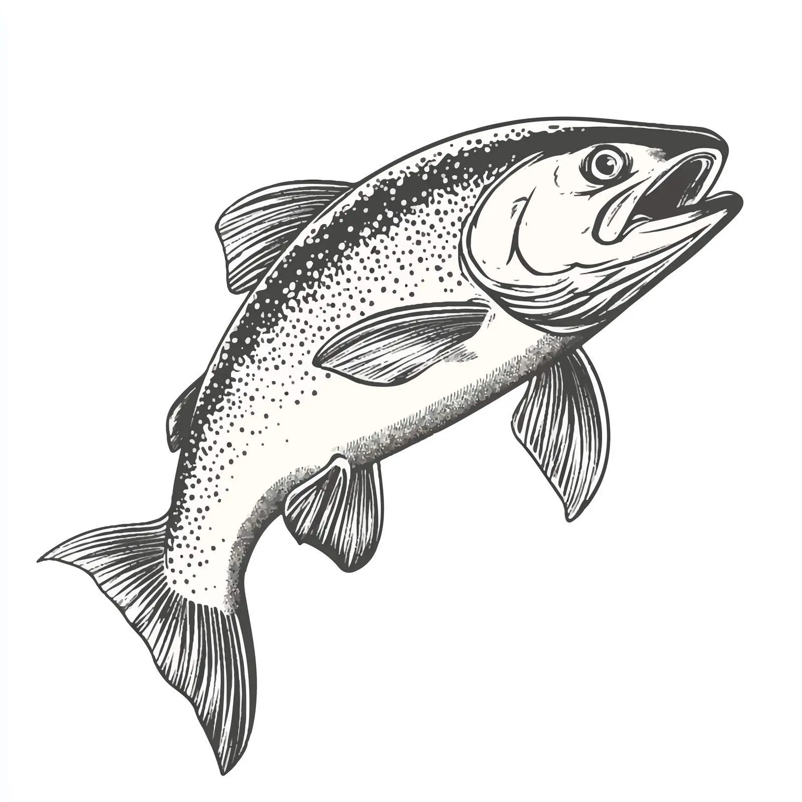 Hand-Drawn Salmon Sketch on White Background — free download from Dotvec