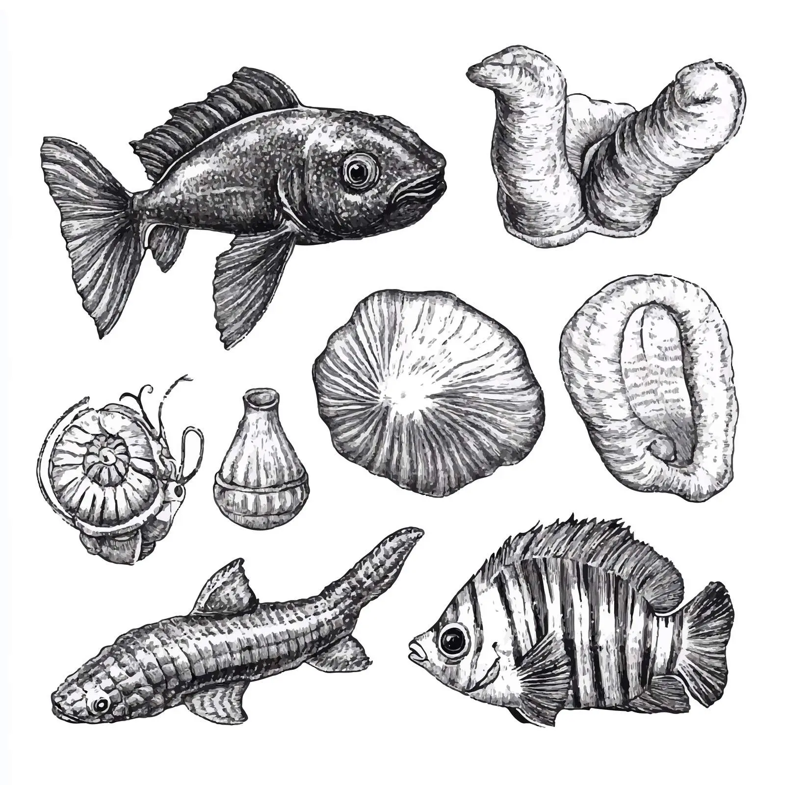 Hand Drawn Scat Symbol on White Background — free download from Dotvec