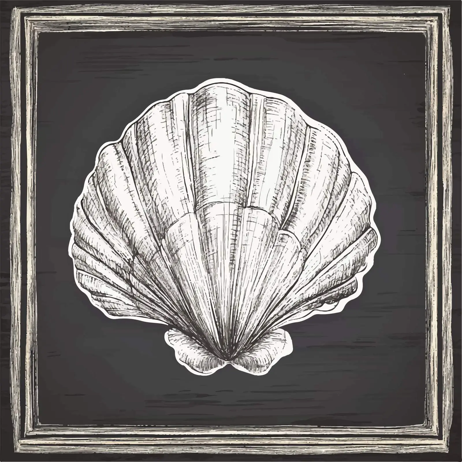 Hand-Drawn Seashell Vector Sketch on Chalkboard — free download from Dotvec