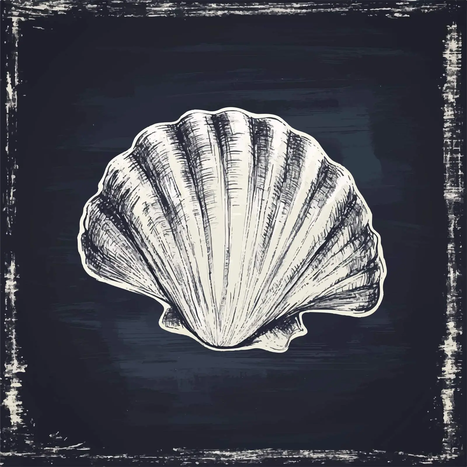 Hand-Drawn Seashell Sketch on Chalkboard — free download from Dotvec