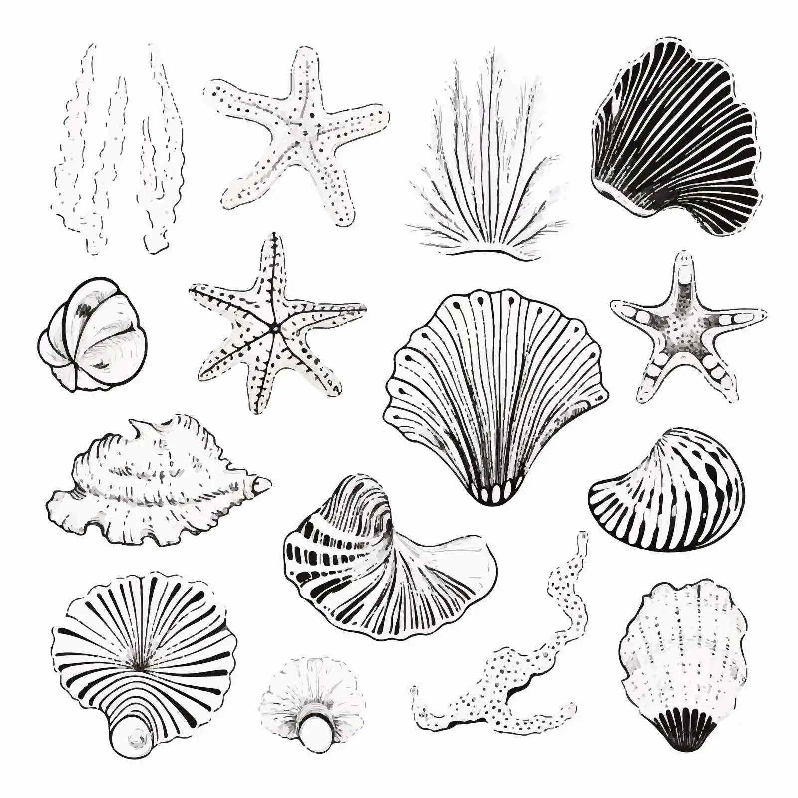 Hand-Drawn Seashells and Marine Life Vectors — free download from Dotvec