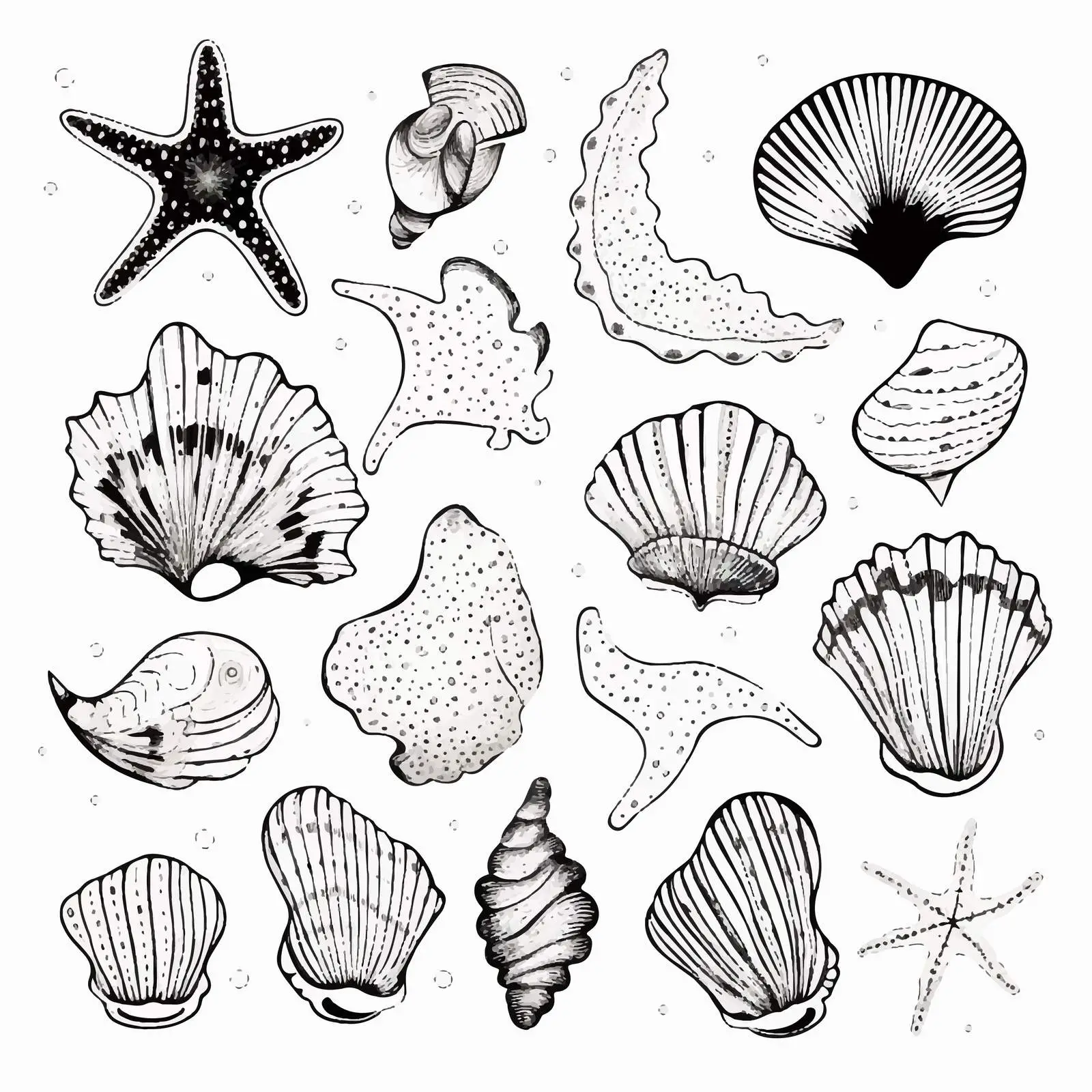 Hand-Drawn Seashells and Marine Life Vectors — free download from Dotvec