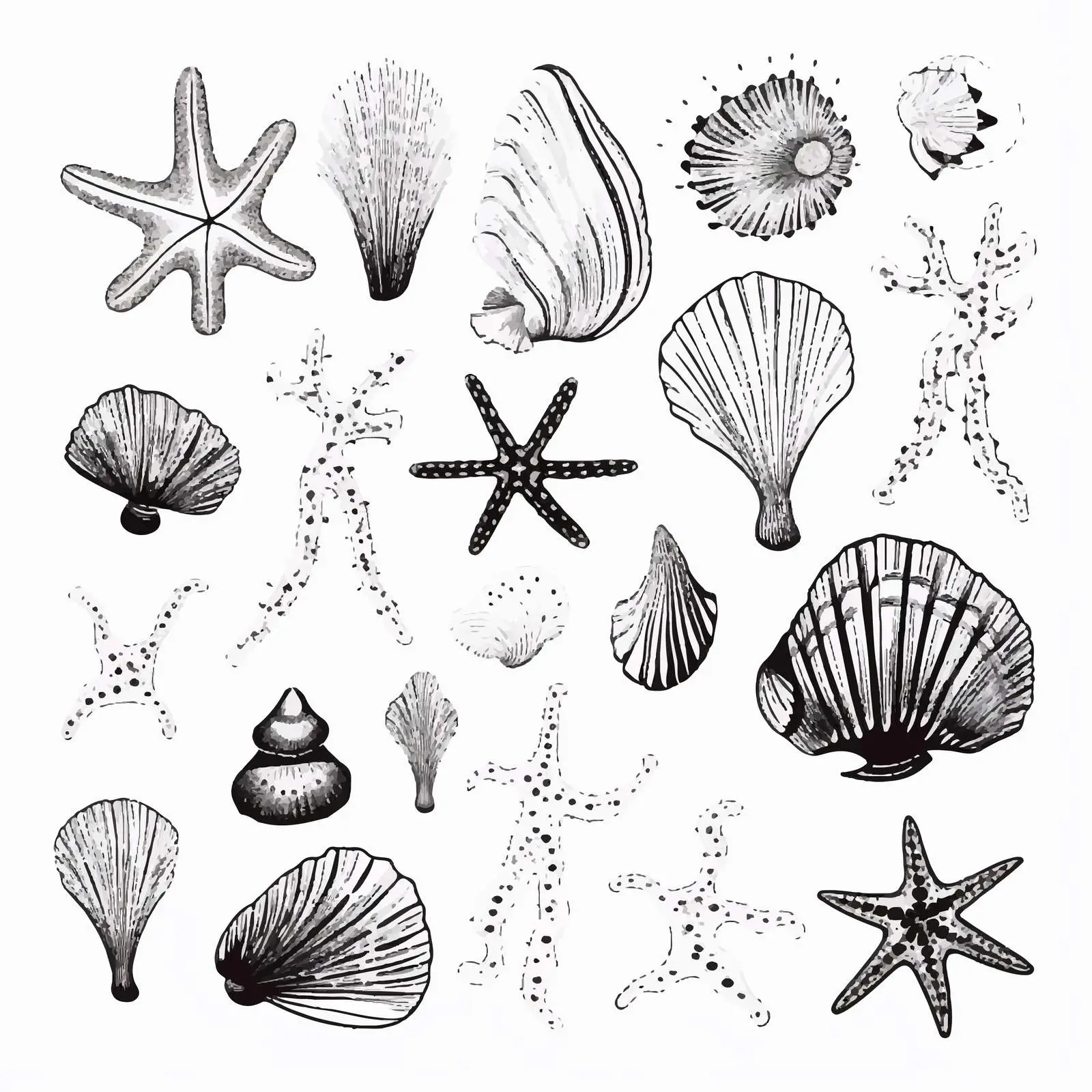 Hand-Drawn Seashells and Coral Collection — free download from Dotvec