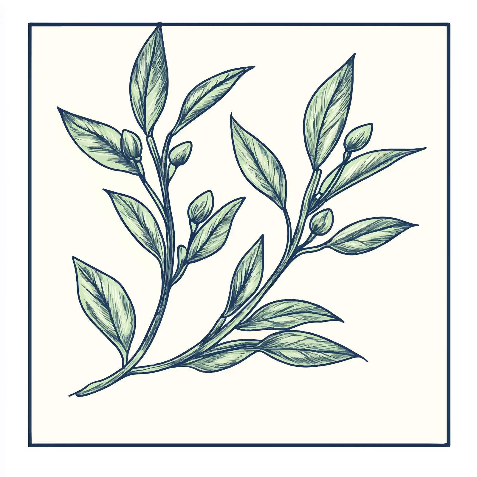 Hand Drawn Sesame Herbs and Spices Vector Design — free download from Dotvec
