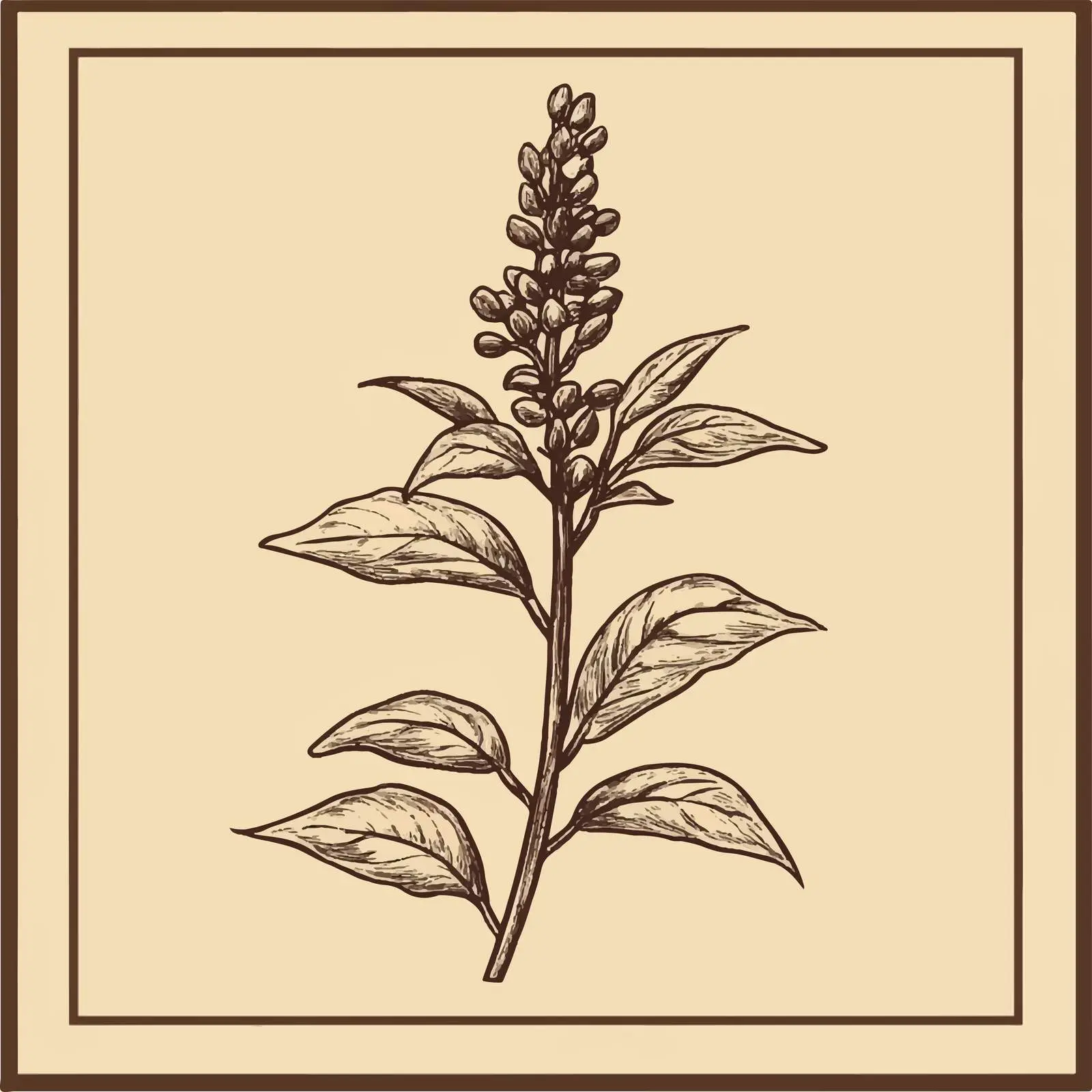 Hand-Drawn Sesame on Beige Background — free download from Dotvec