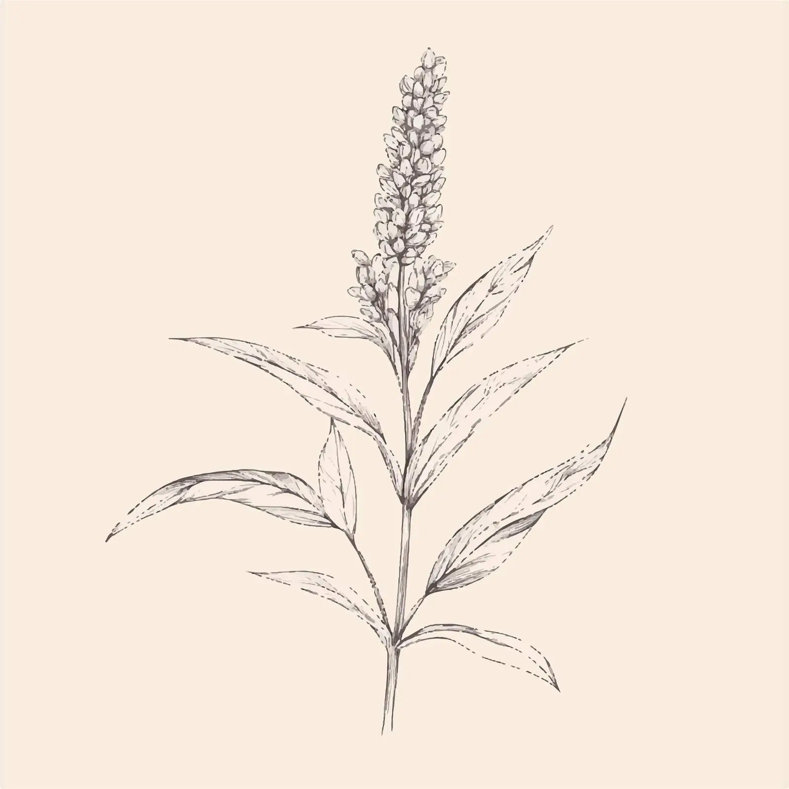 Hand-Drawn Sesame Seeds on Beige Background — free download from Dotvec