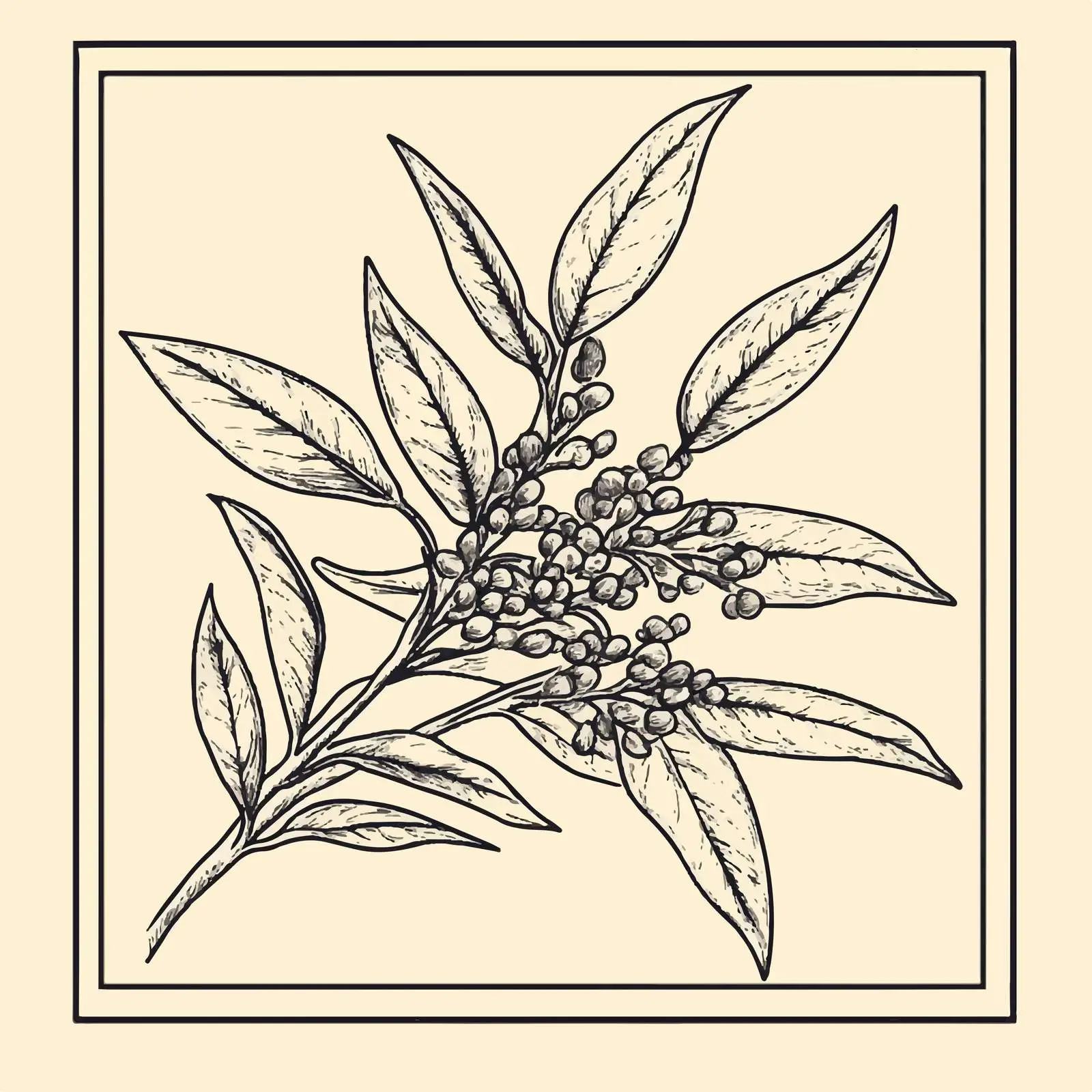 Hand-Drawn Sesame on Beige Background — free download from Dotvec