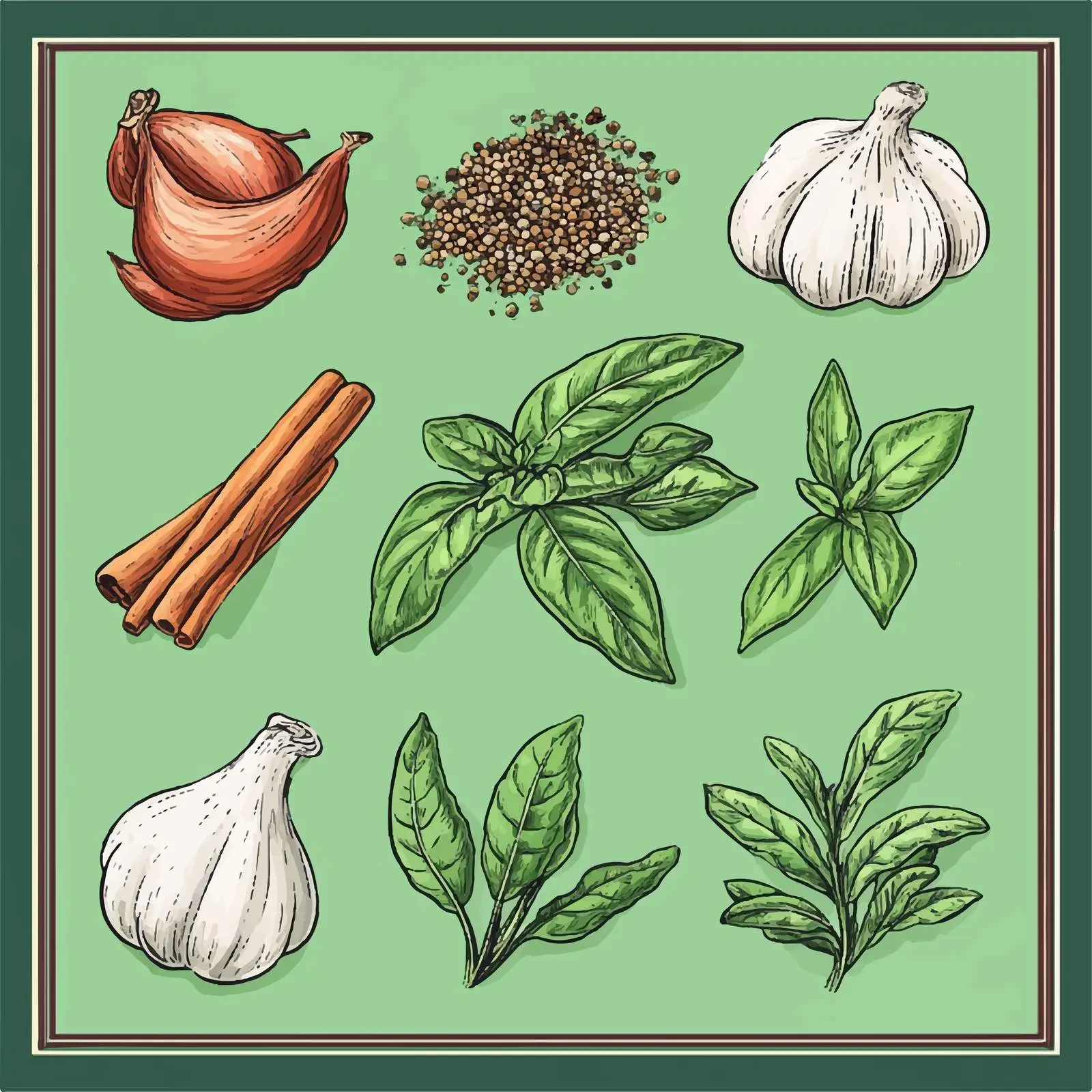 Hand-Drawn Herb and Spice Vector Collection — free download from Dotvec