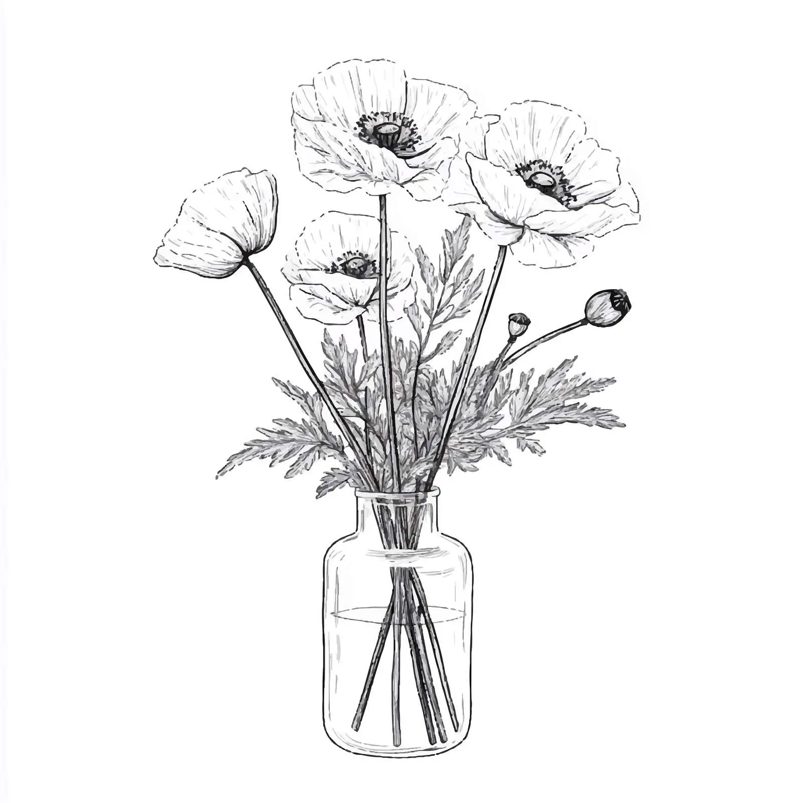 Hand-Drawn Poppy Bouquet in a Vase — free download from Dotvec