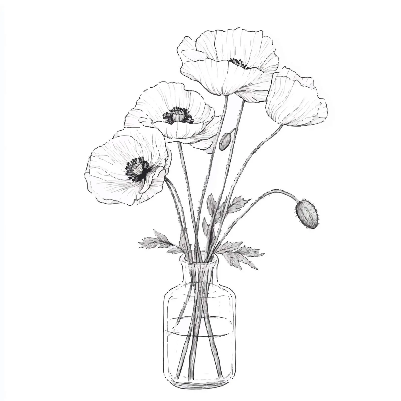 Hand-Drawn Poppy Bouquet in Vase Artwork — free download from Dotvec