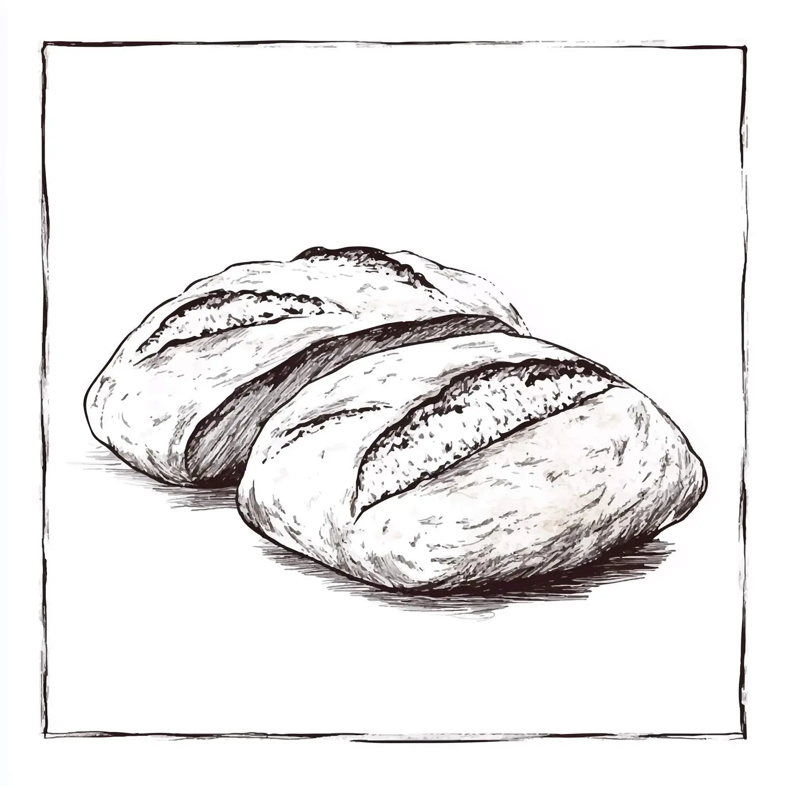 Hand-Drawn Ciabatta Bread Sketch Illustration — free download from Dotvec