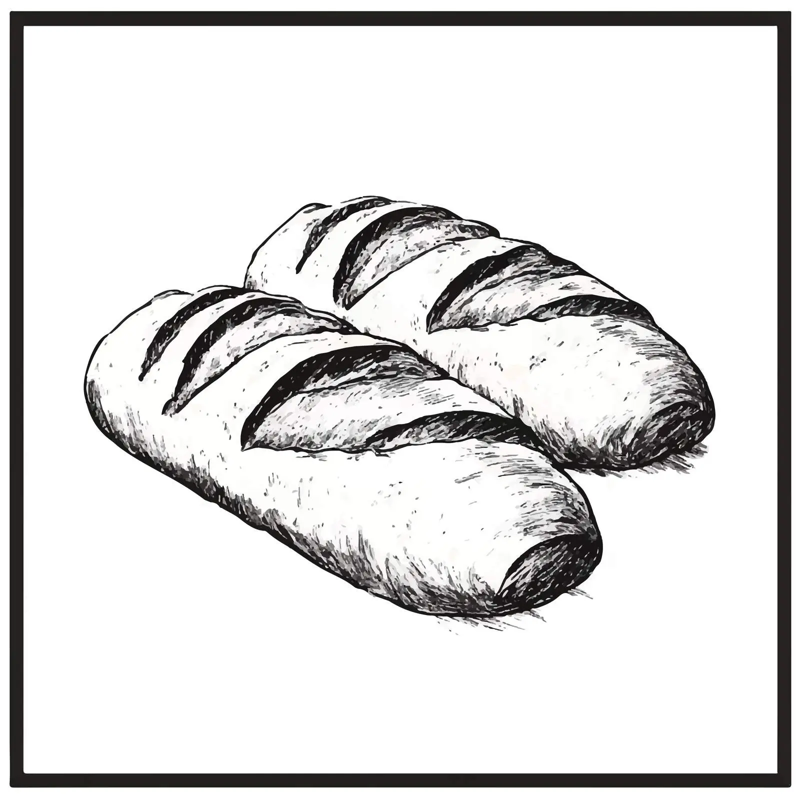 Hand-Drawn Ciabatta Bread Sketch on White Background — free download from Dotvec
