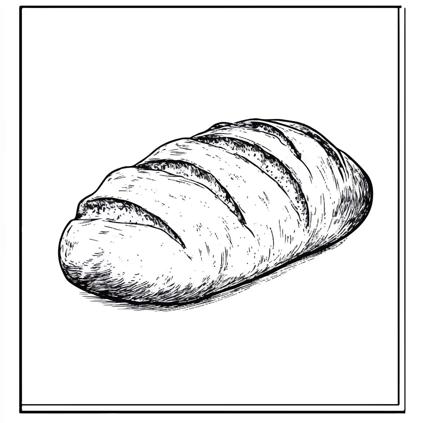 Hand Drawn Ciabatta Bread Sketch — free download from Dotvec