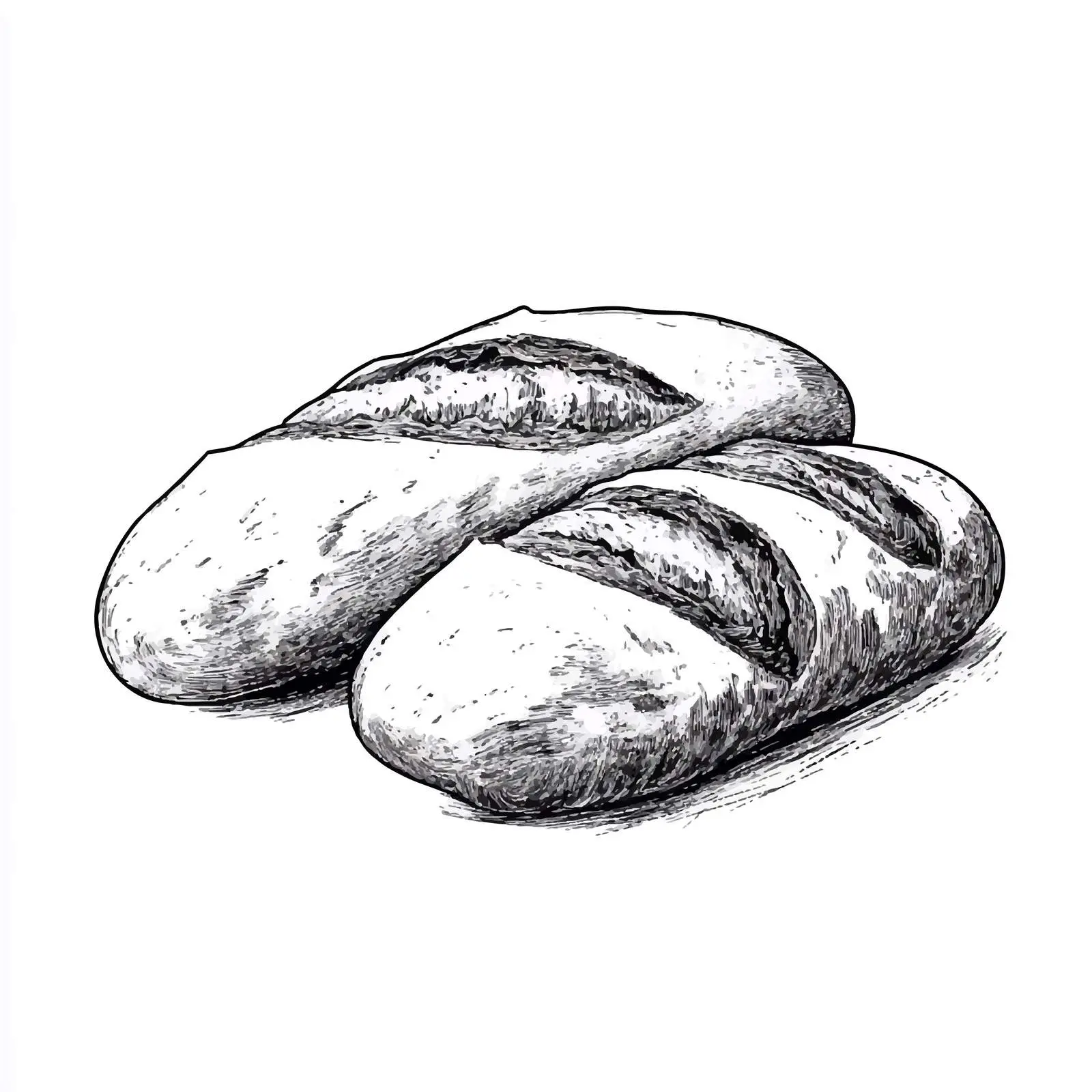 Hand-Drawn Ciabatta Bread Sketch on White Background — free download from Dotvec