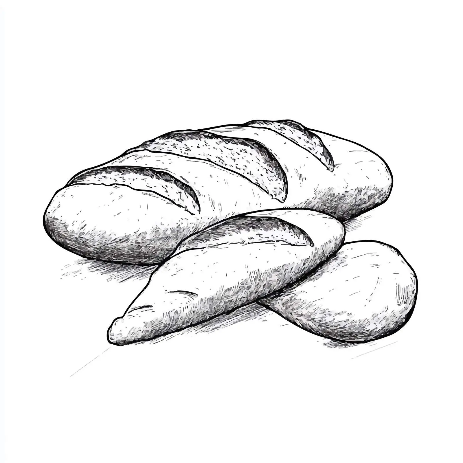 Hand-Drawn Ciabatta Bread Sketch Illustration — free download from Dotvec