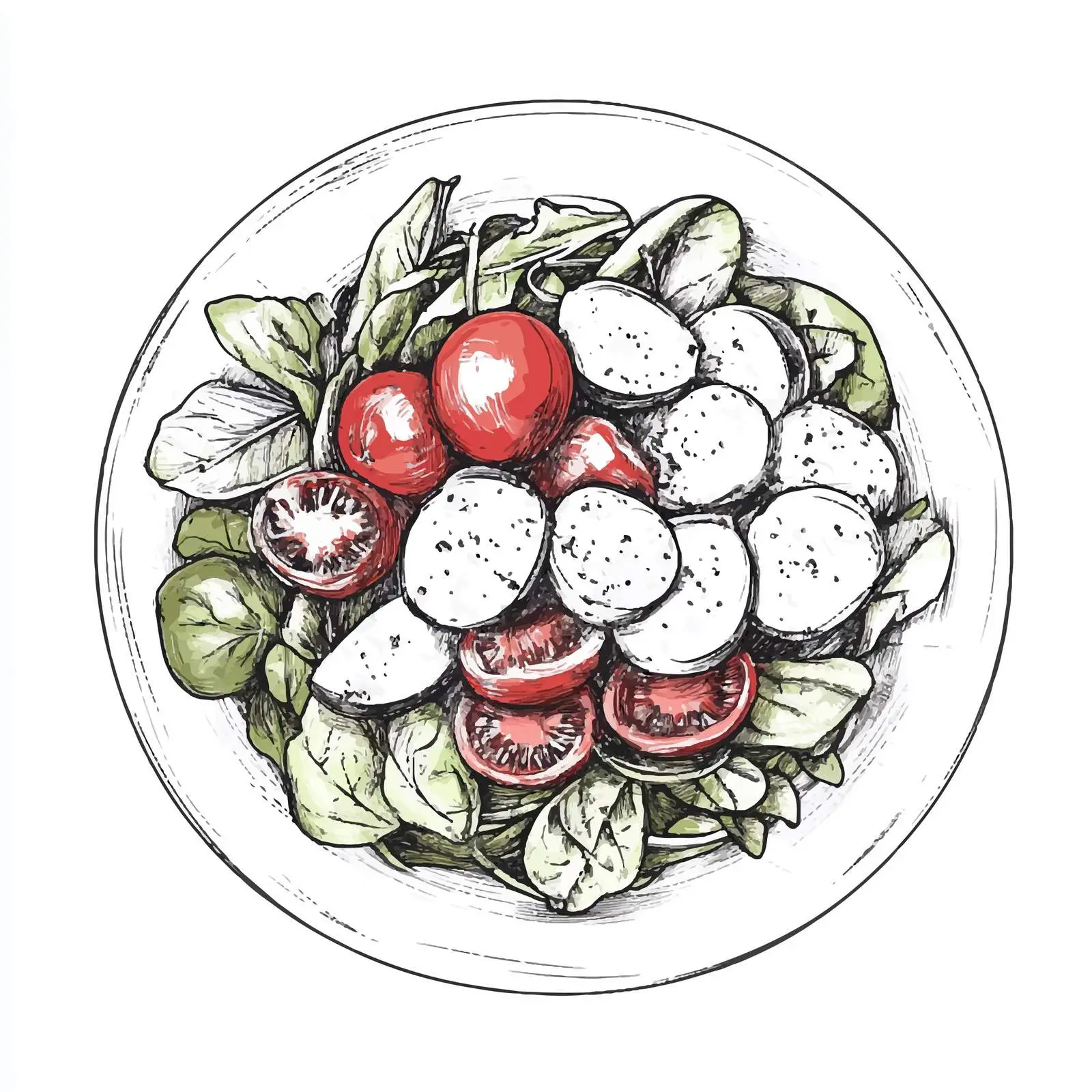 Hand-Drawn Classic French Niçoise Salad Illustration — free download from Dotvec